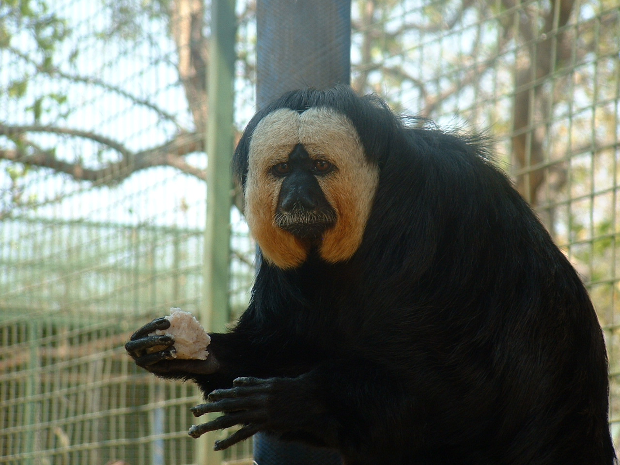 Mystic Monkeys Wildlife Park