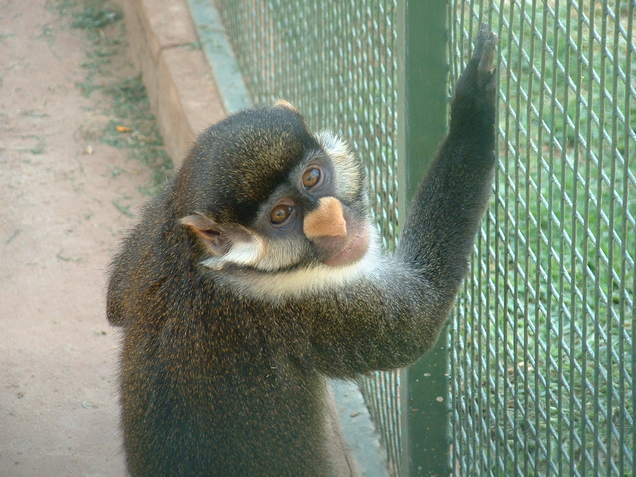 Mystic Monkeys Wildlife Park