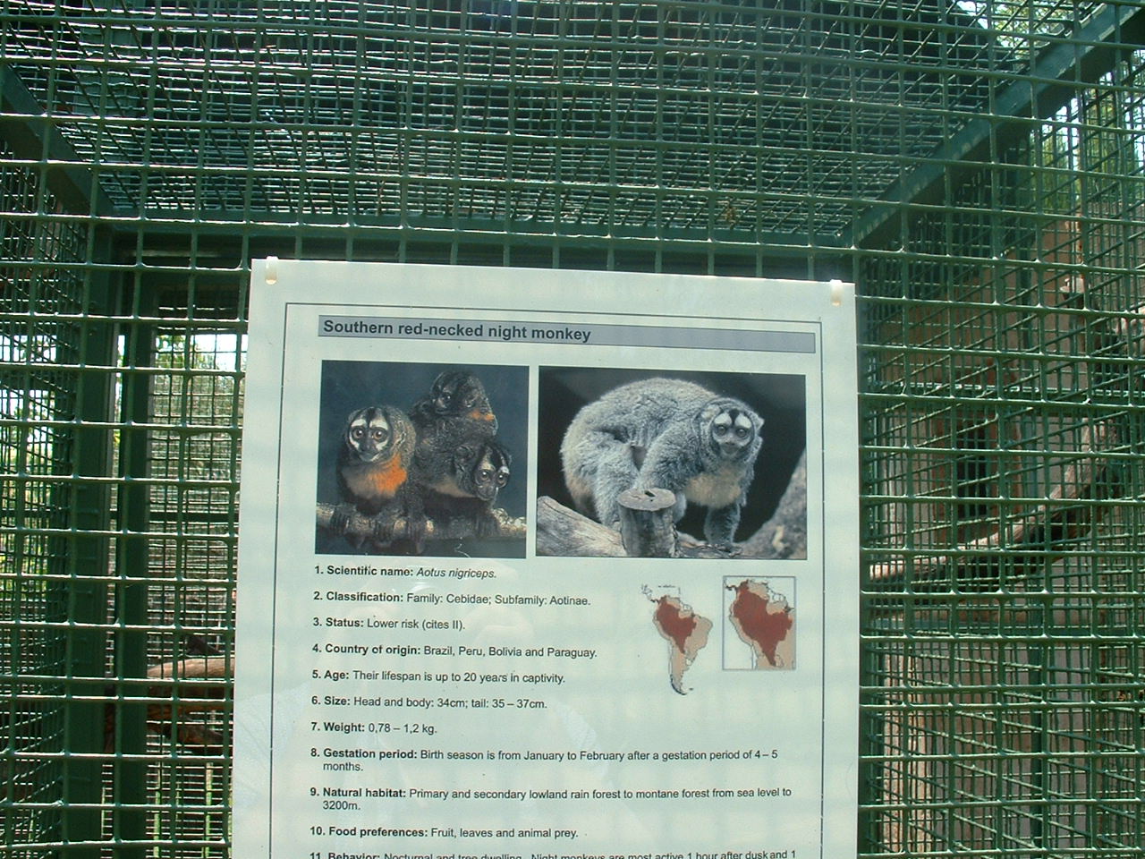 Mystic Monkeys Wildlife Park