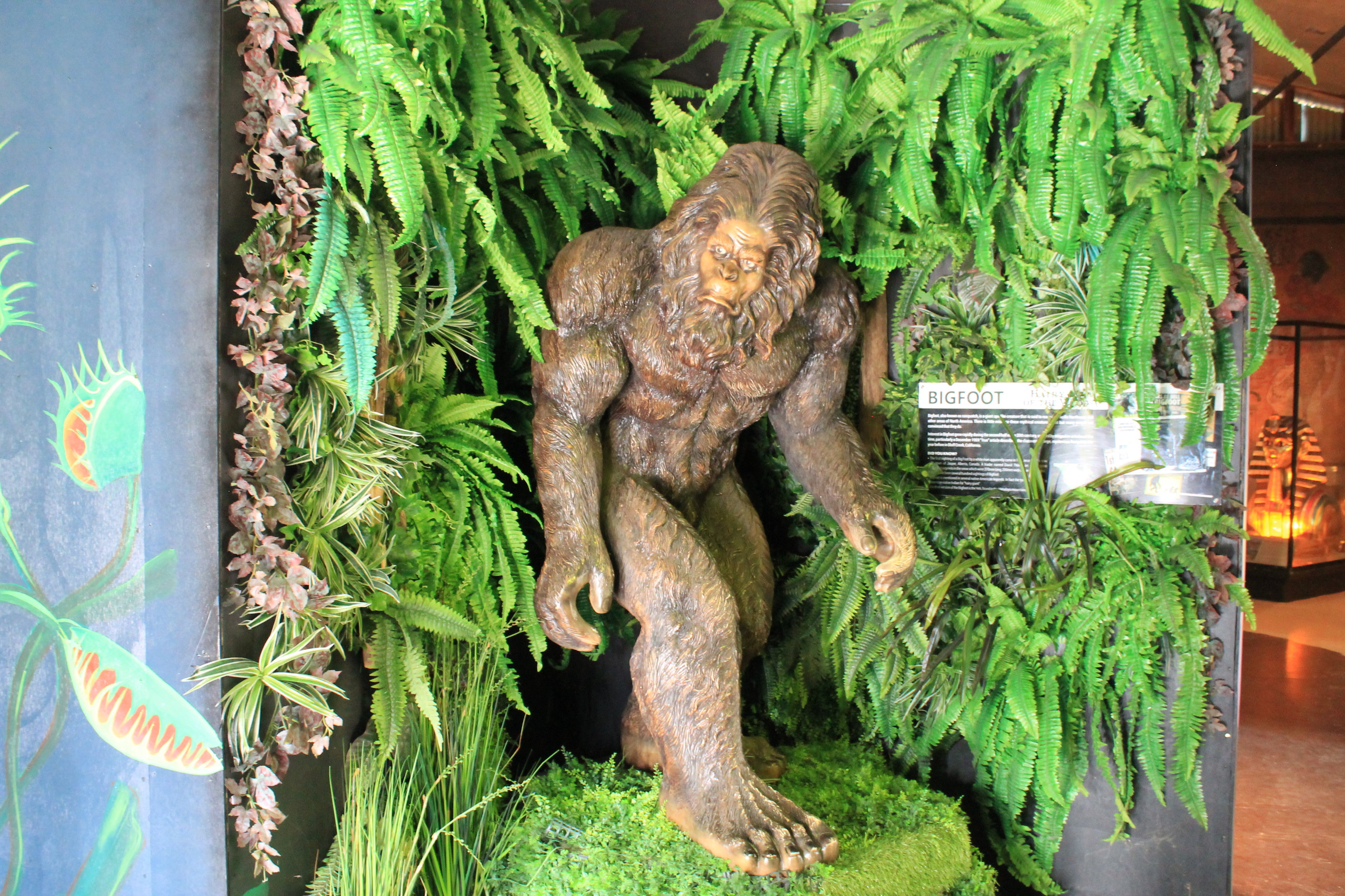 Mythical Creatures - Bigfoot