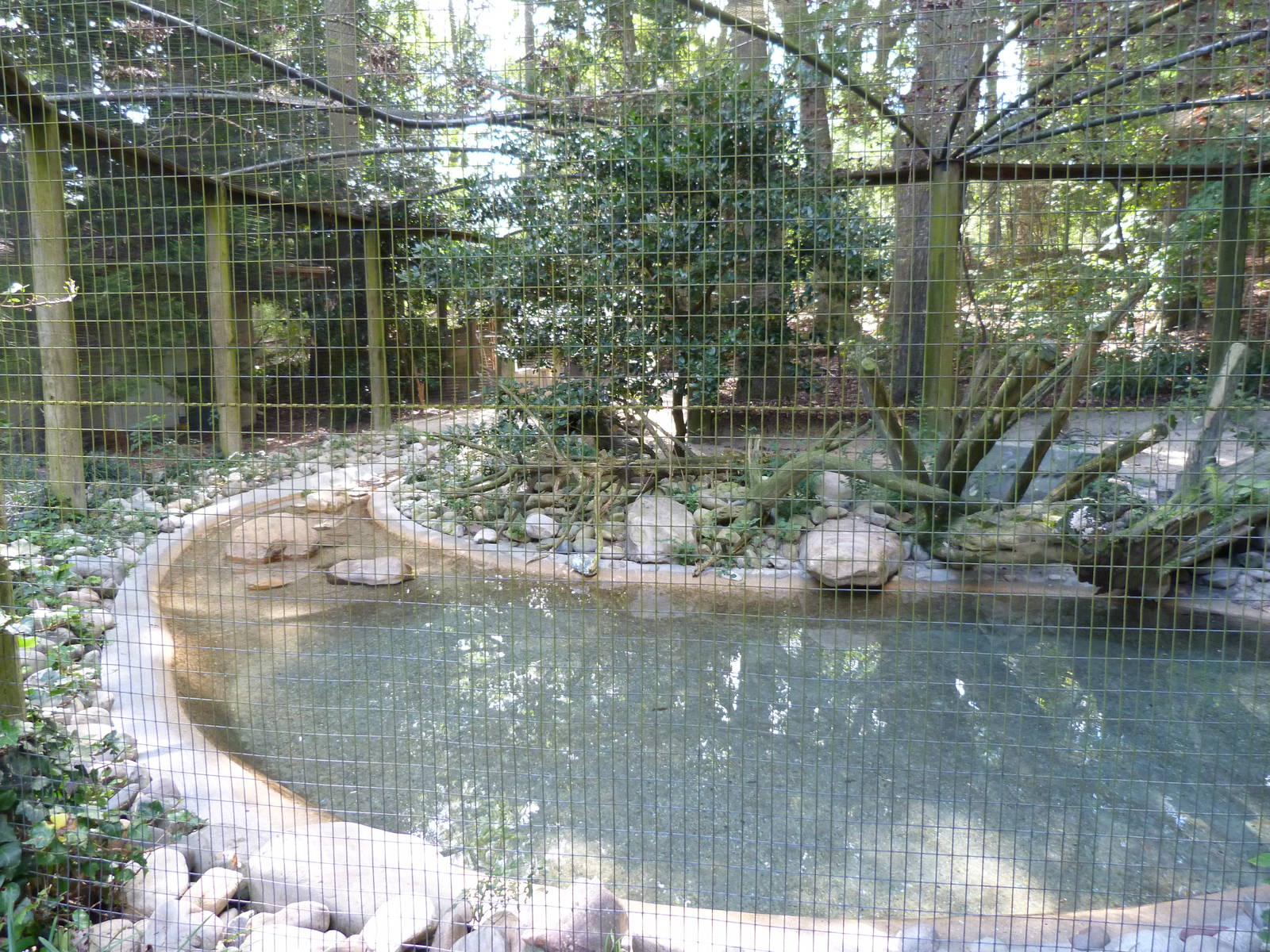 N. American River Otter Exhibit - 9/7/13