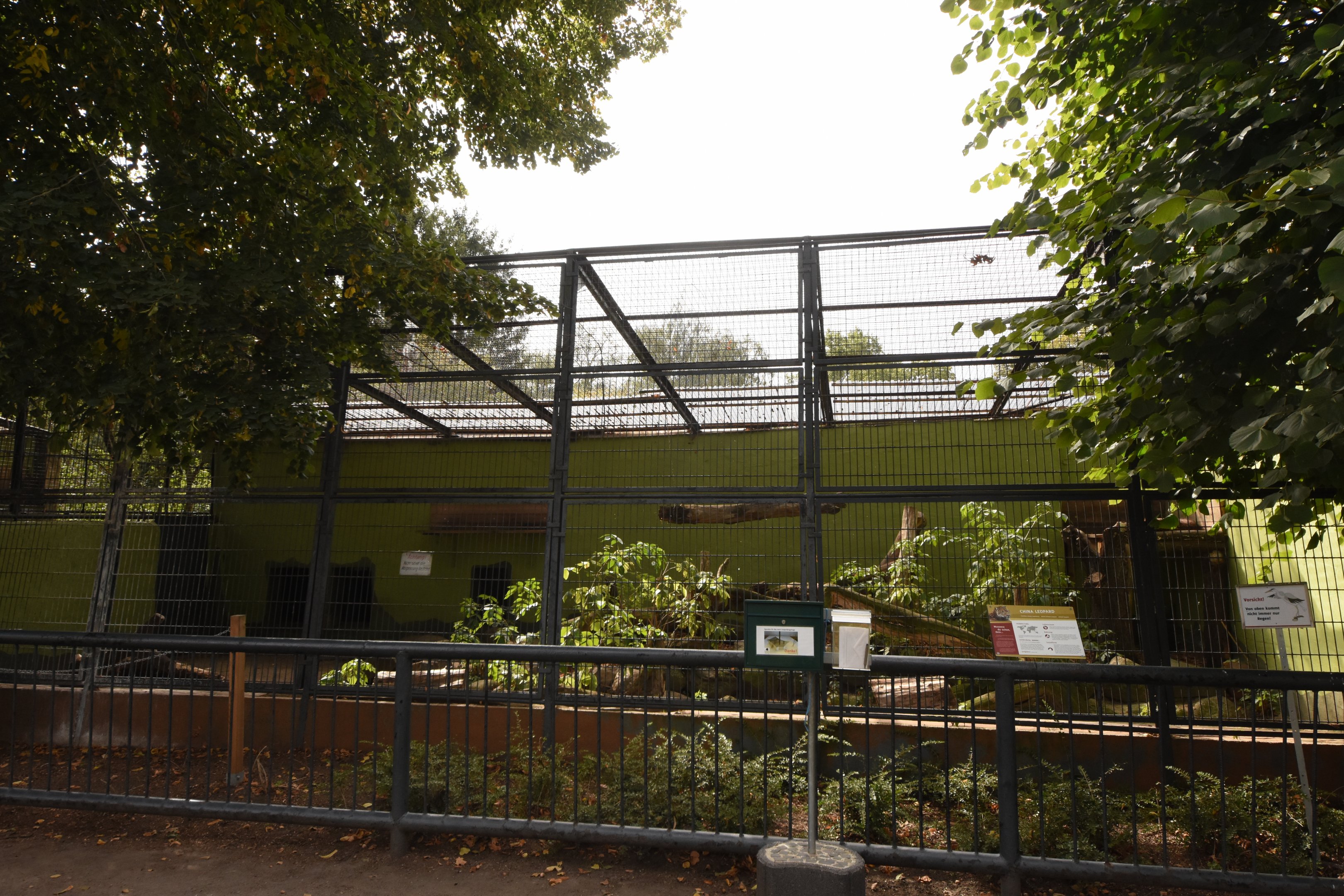 N-Chinese leopard cage