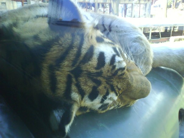 n1473327270_30193013_5369