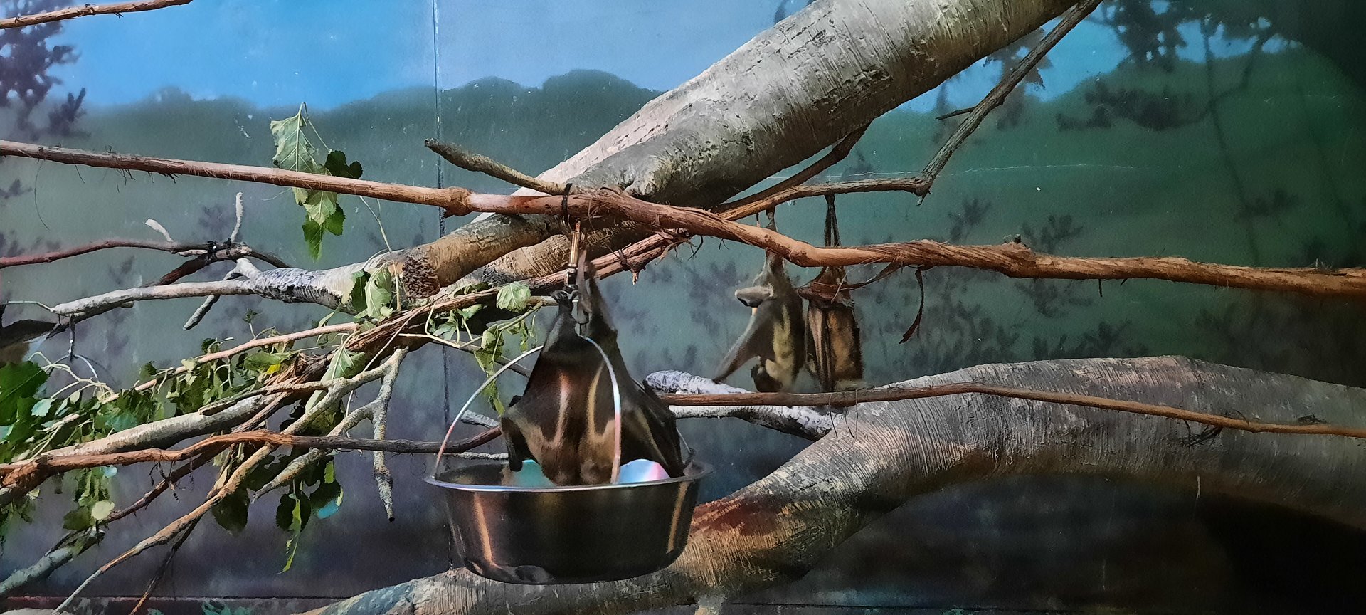 Na na na na na na....