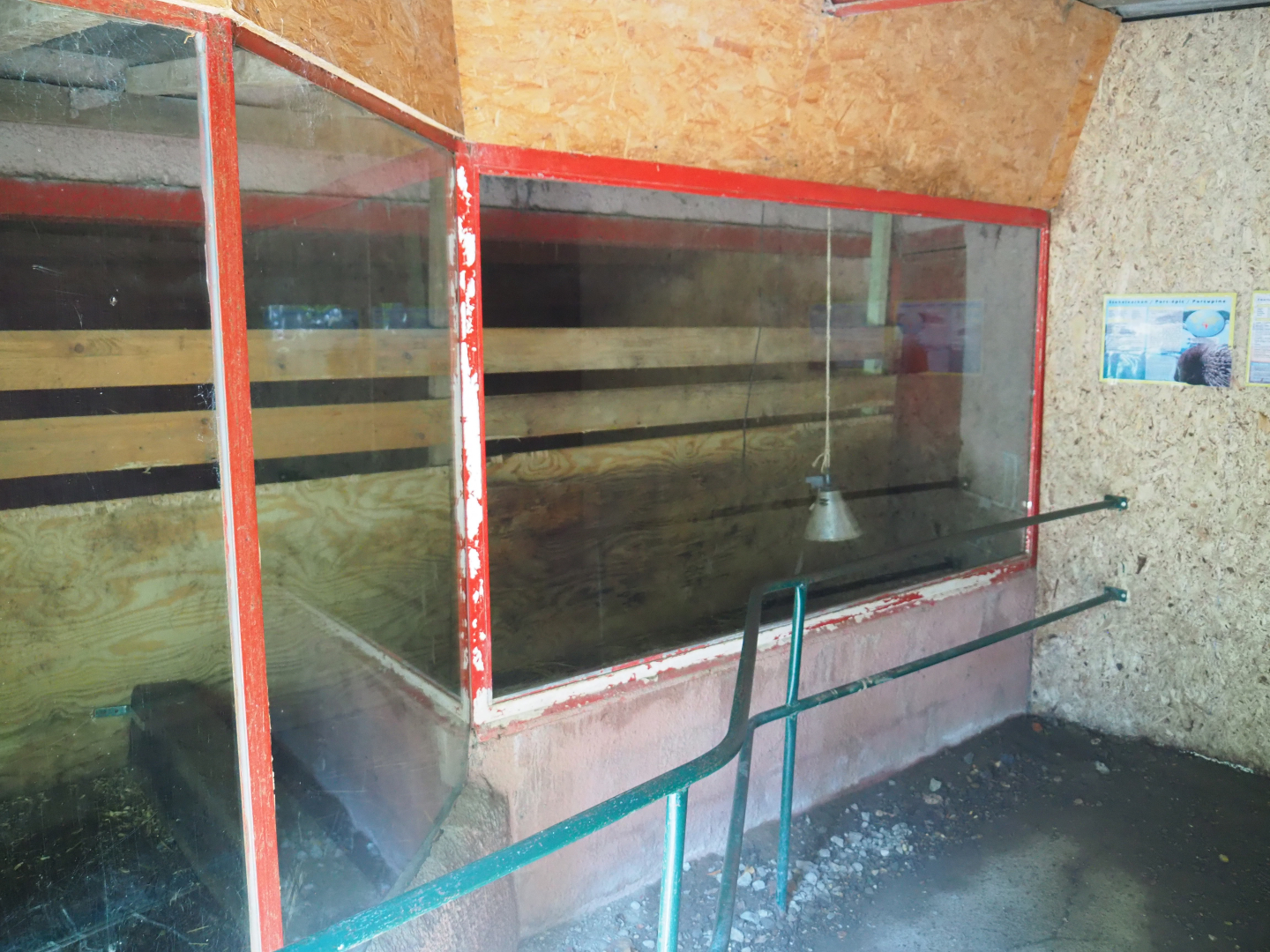 Naff African crested porcupine den, 2019-08-04