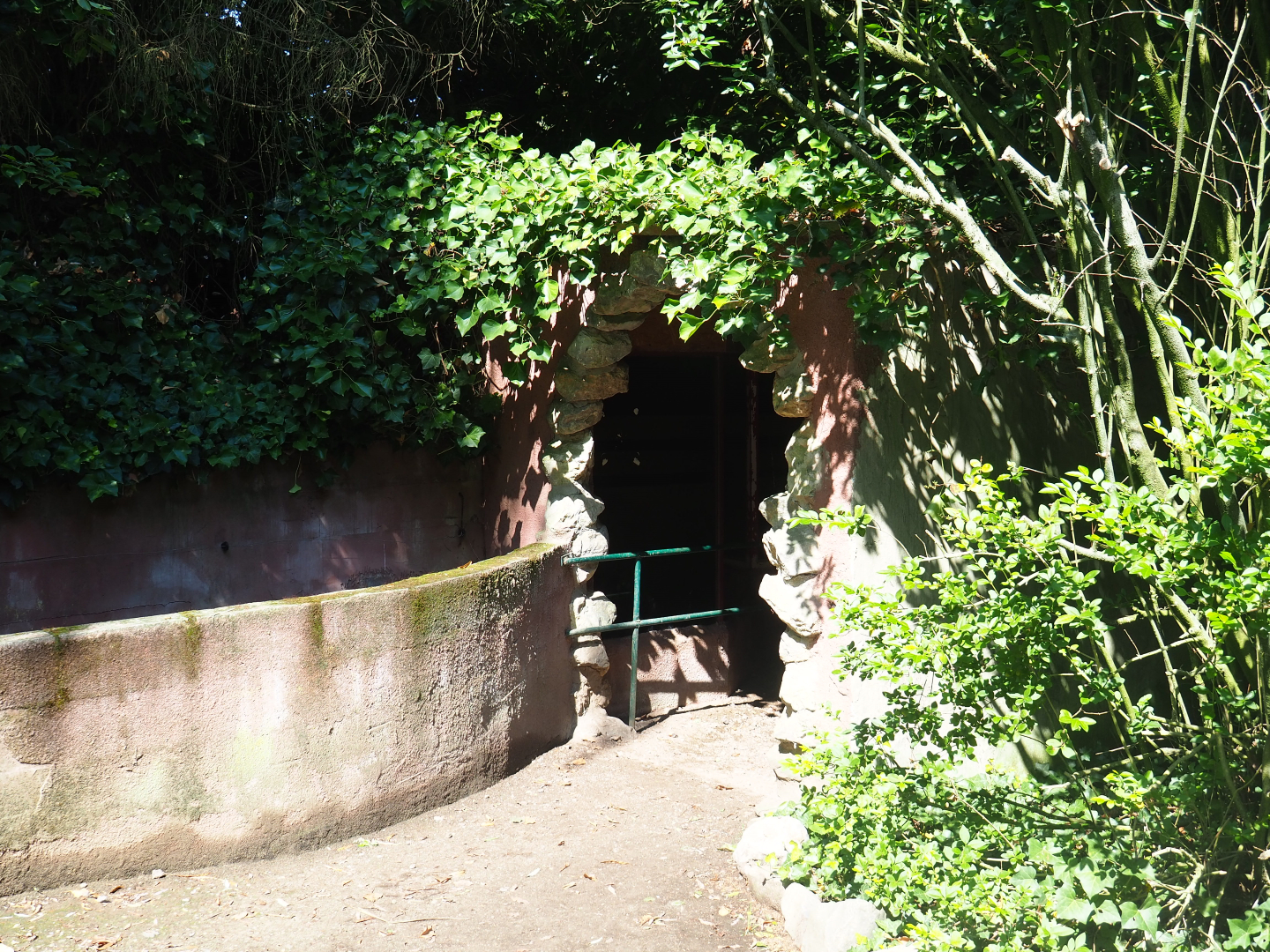 Naff African crested porcupine house, 2019-08-04