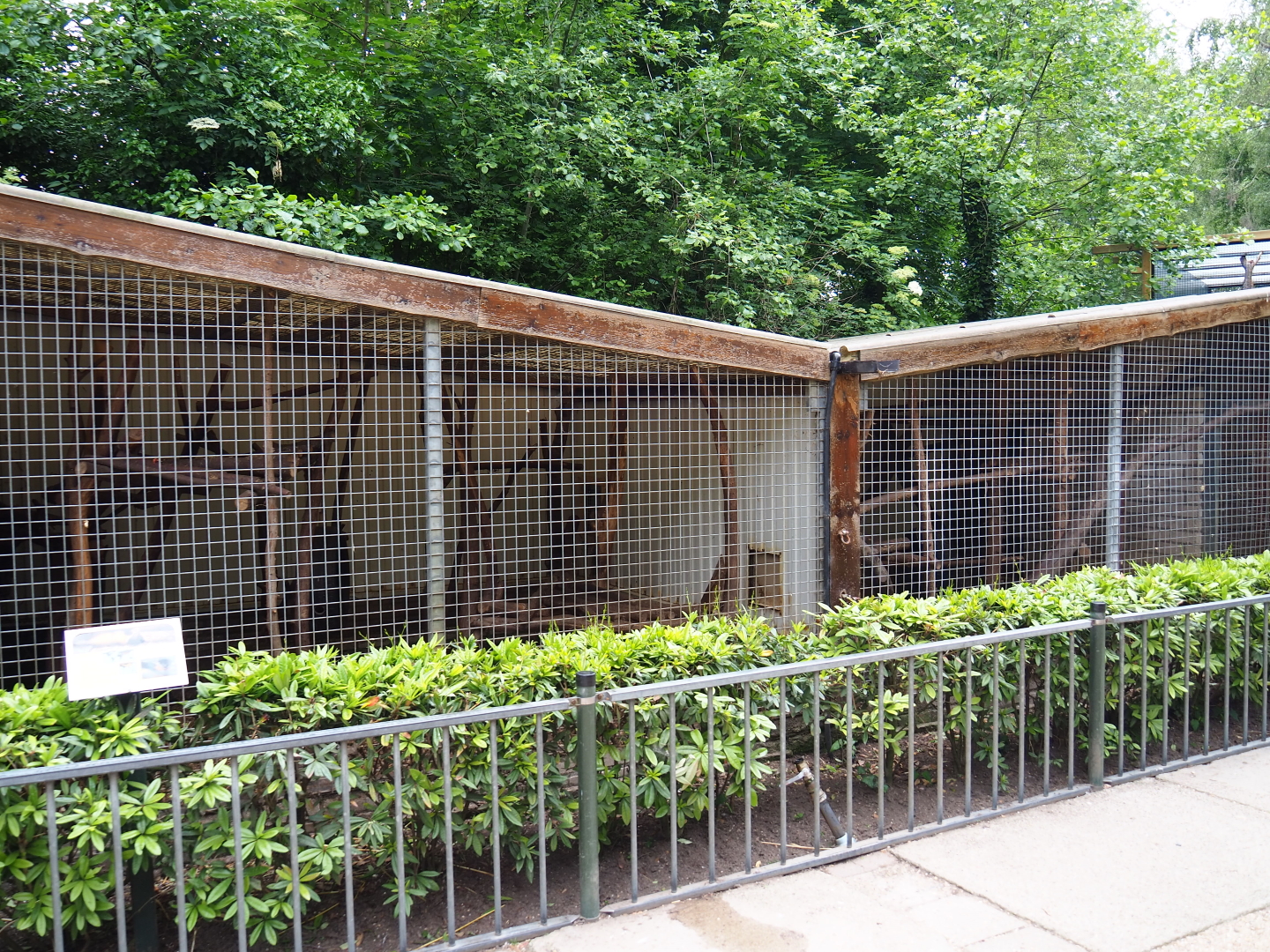 Naff Northern yellow-throated marten cages, 2019-05-25