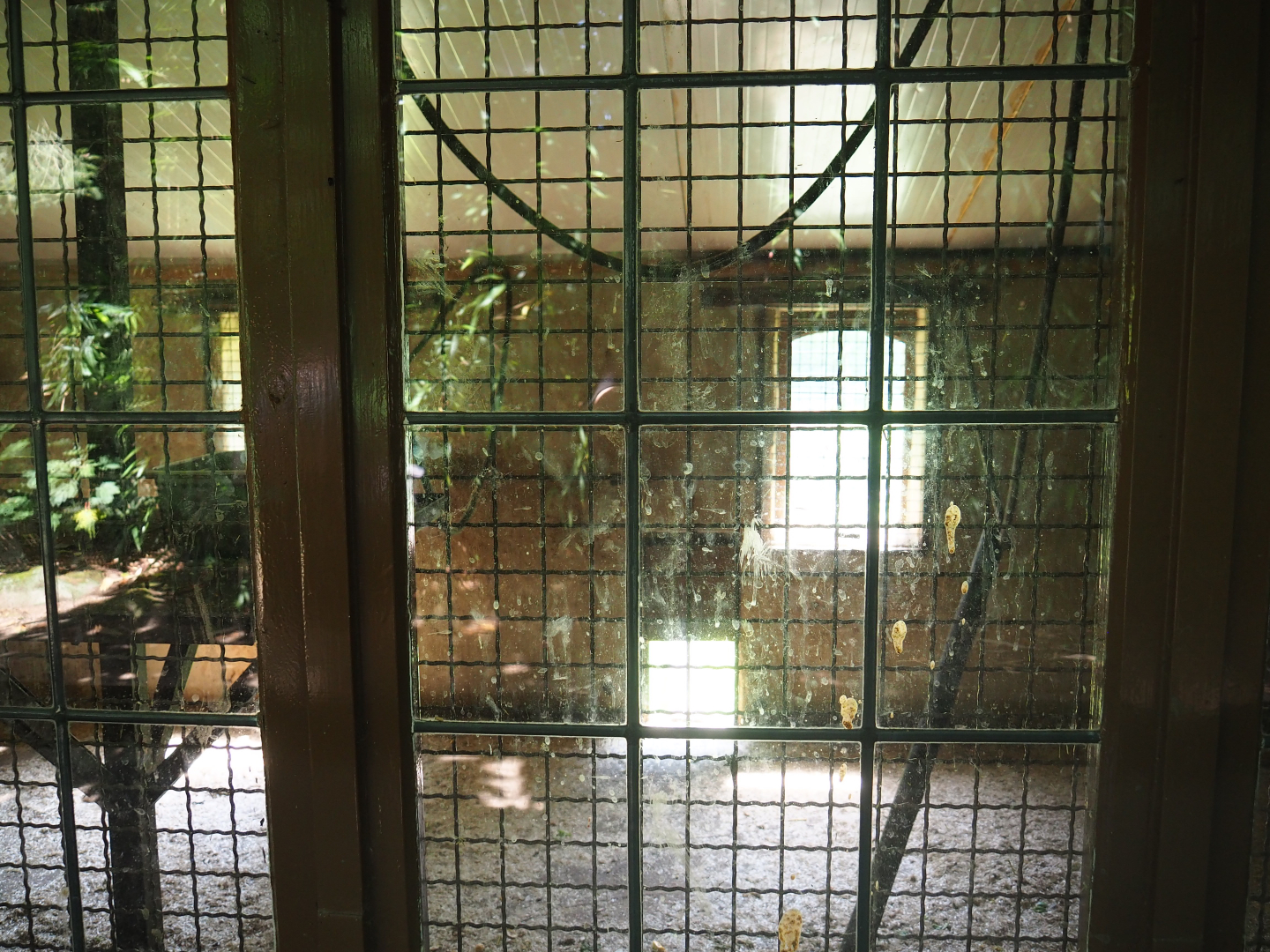 Naff White-handed gibbon indoor housing, 2019-08-04