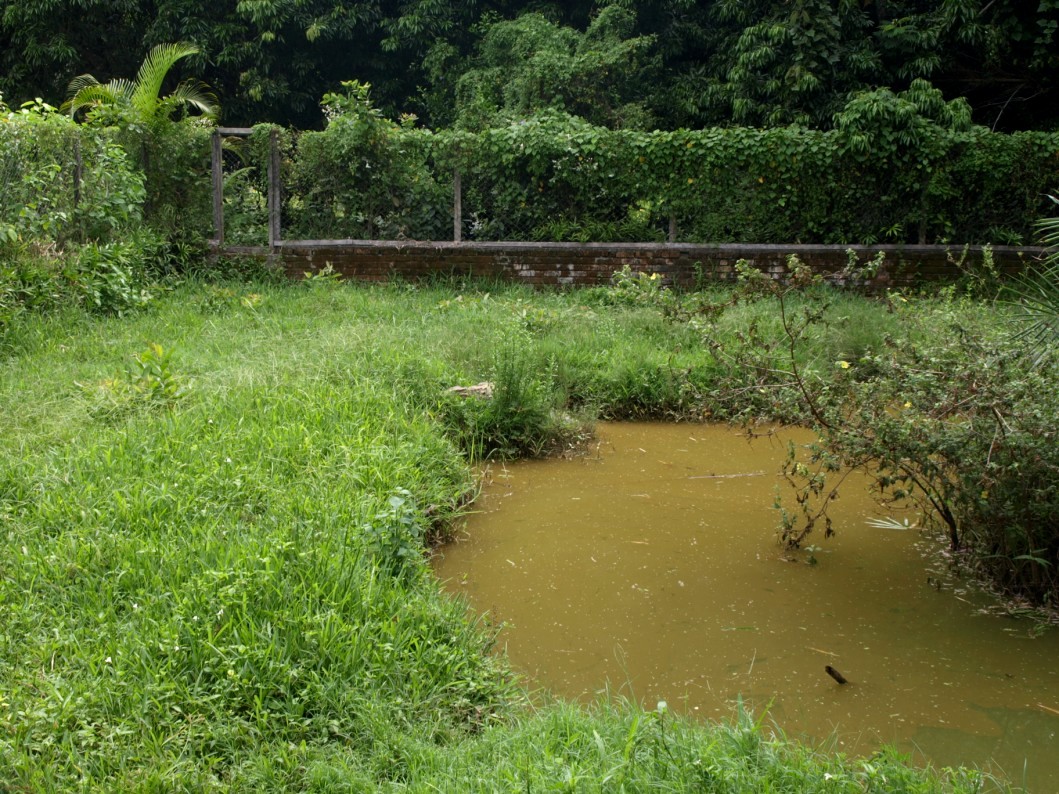 Nahampoana - Crocodile enclosure