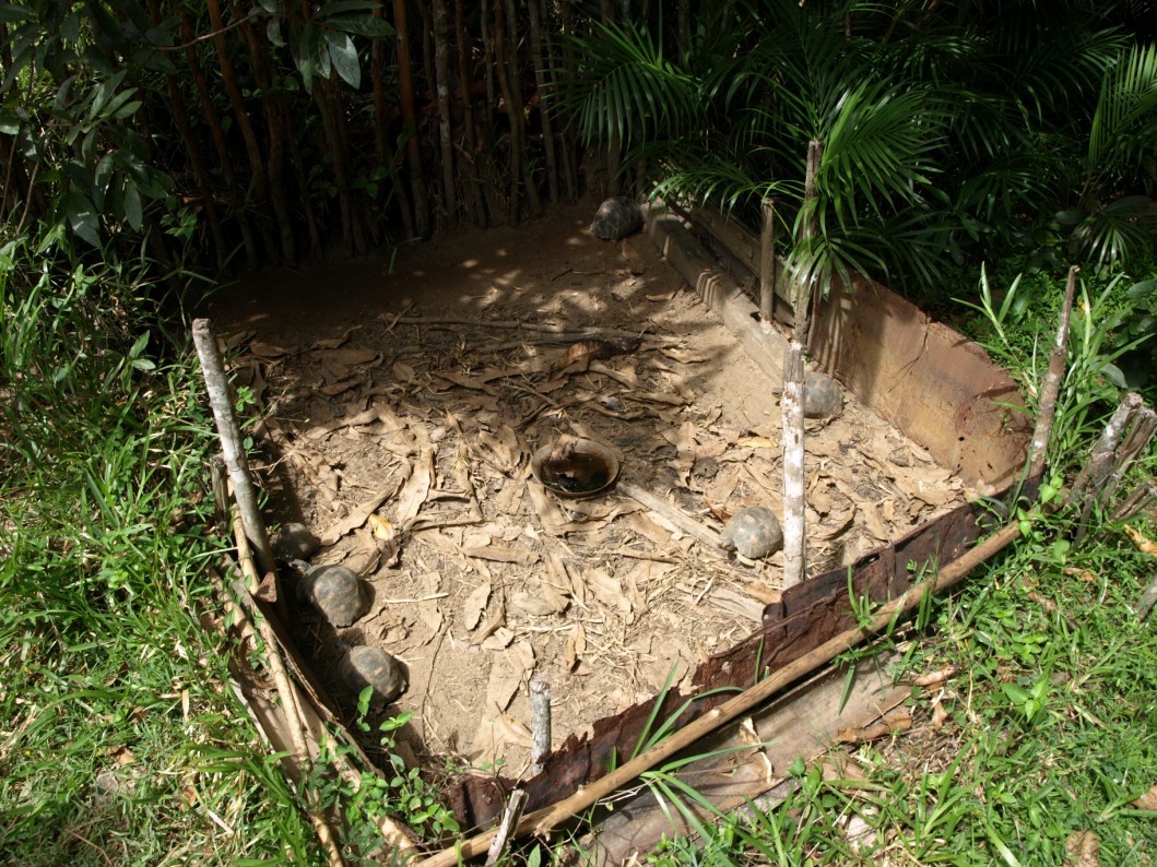 Nahampoana - Tortoise nursery