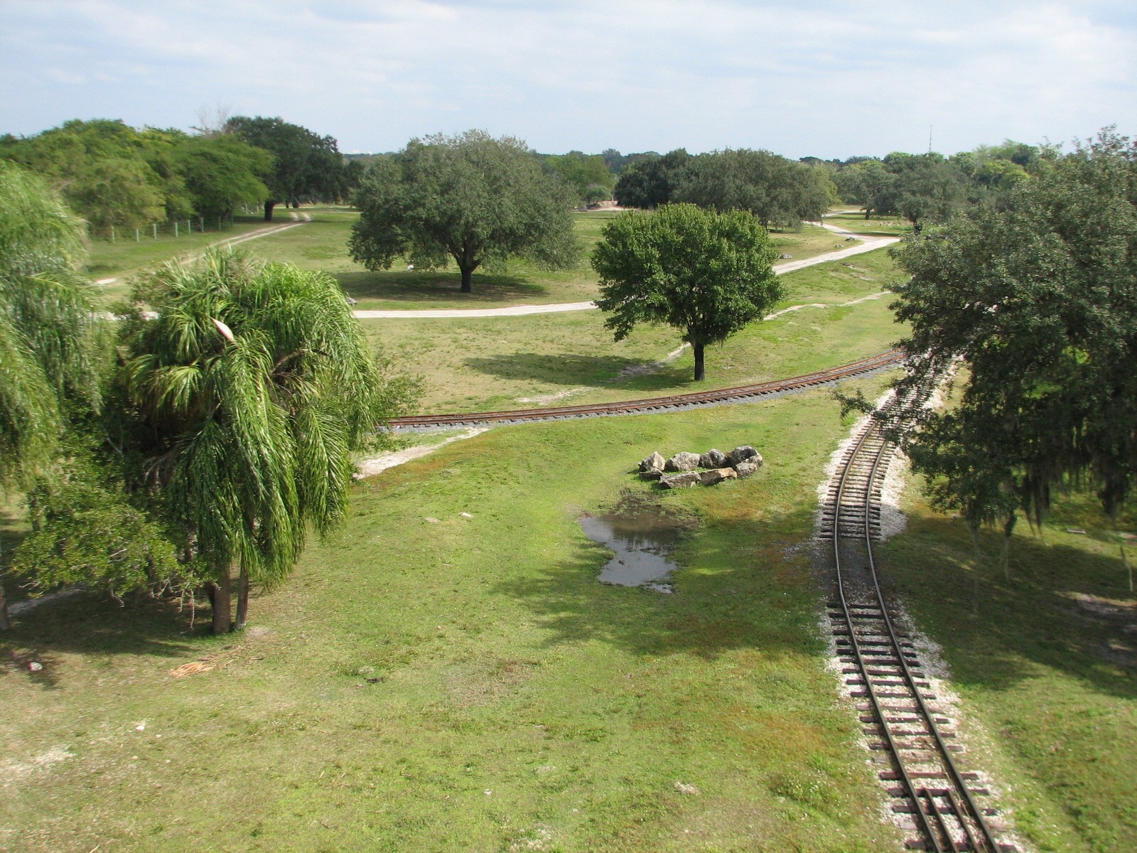 Nairobi - Serengeti Express Train in Serengeti Plain