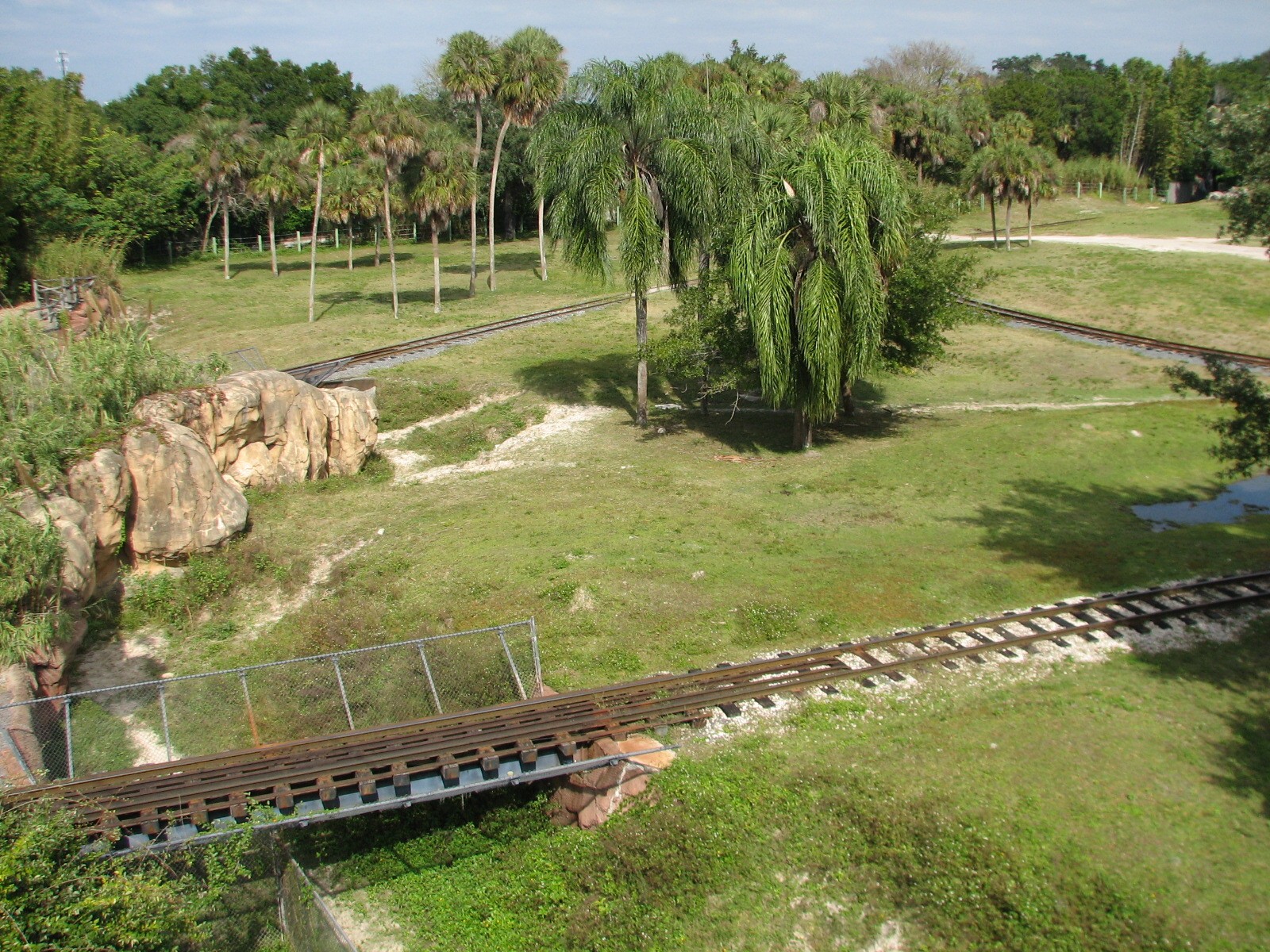 Nairobi - Serengeti Express Train in Serengeti Plain