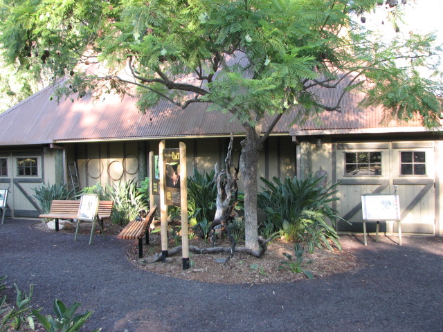 Nairobi Village - Bats