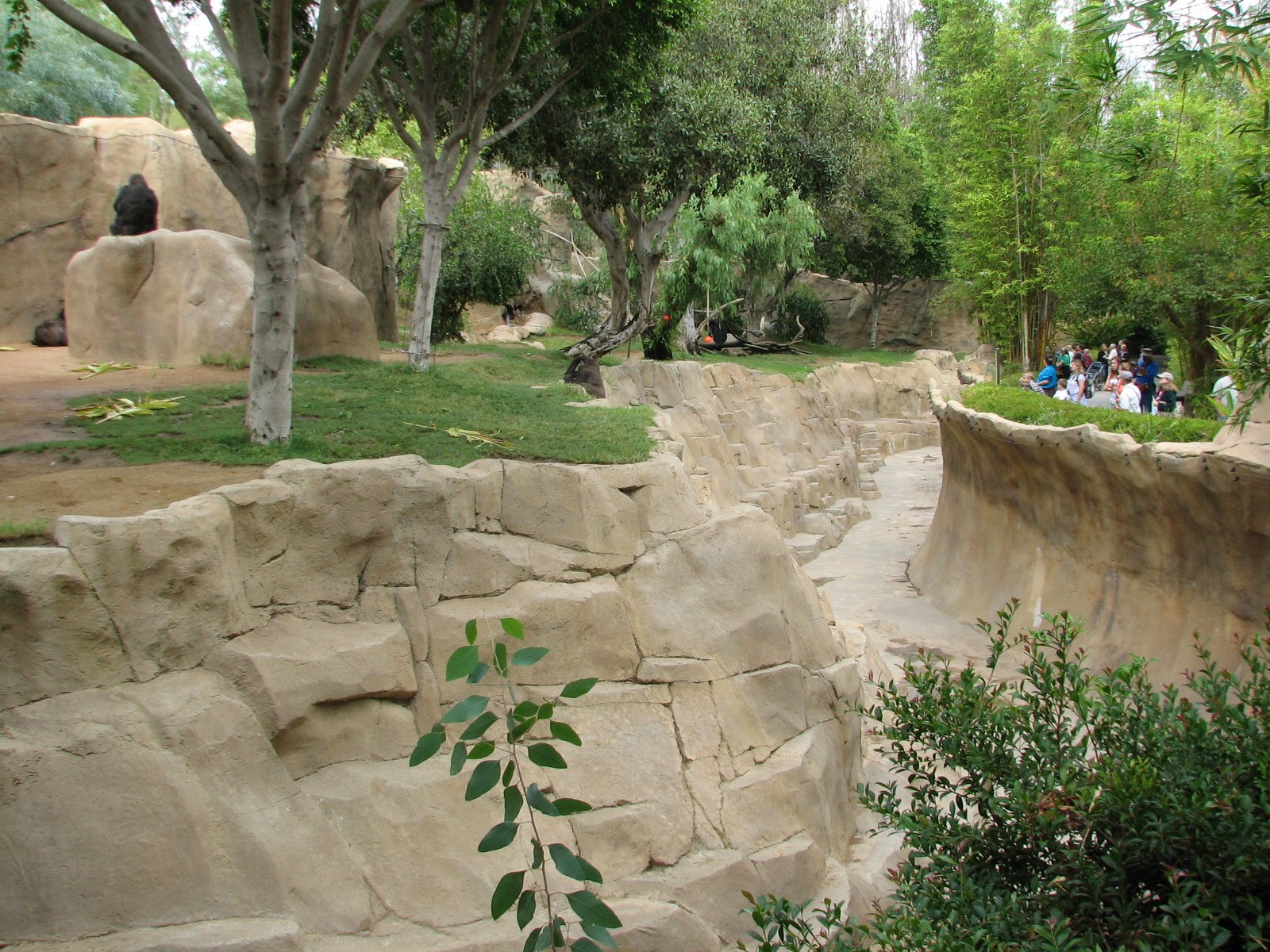 Nairobi Village - Gorilla Exhibit