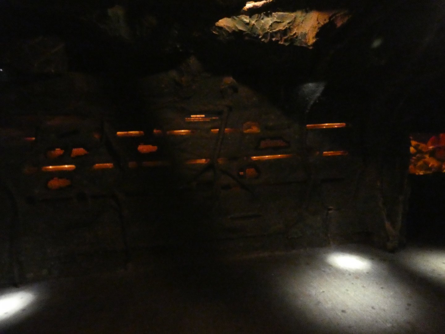 Naked mole rat enclosure (Twilight World Underground area)