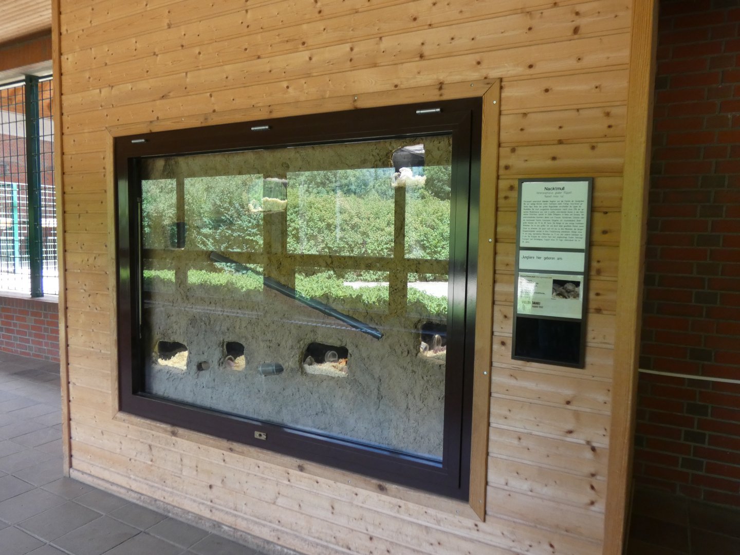 Naked Mole Rat Enclosure