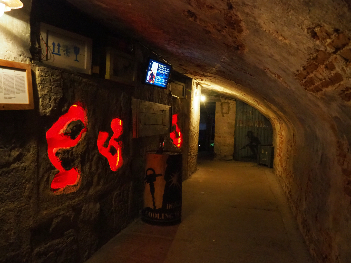 Naked mole-rat exhibit, 2019-10-05