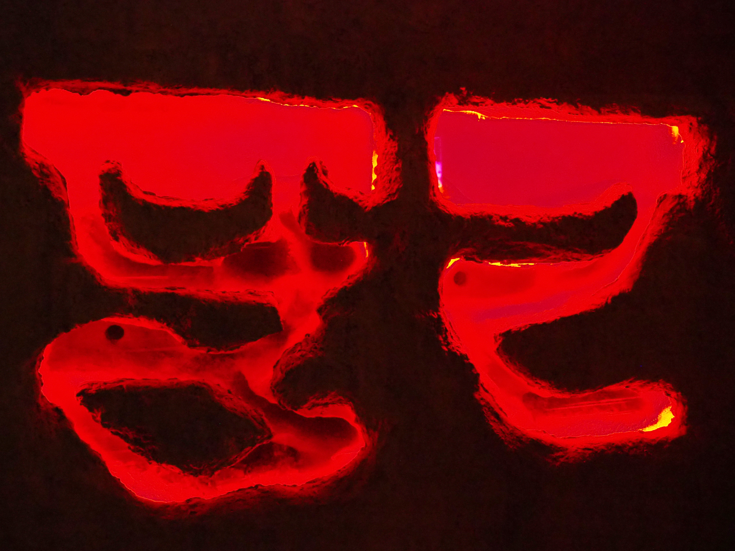 Naked mole-rat exhibit burrows, 2019-10-05