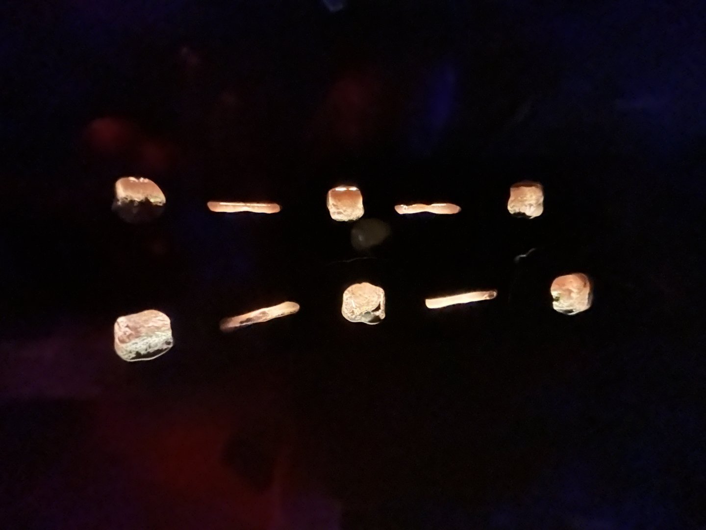 Naked Mole-rat Exhibit - Wildlife Explorers Basecamp