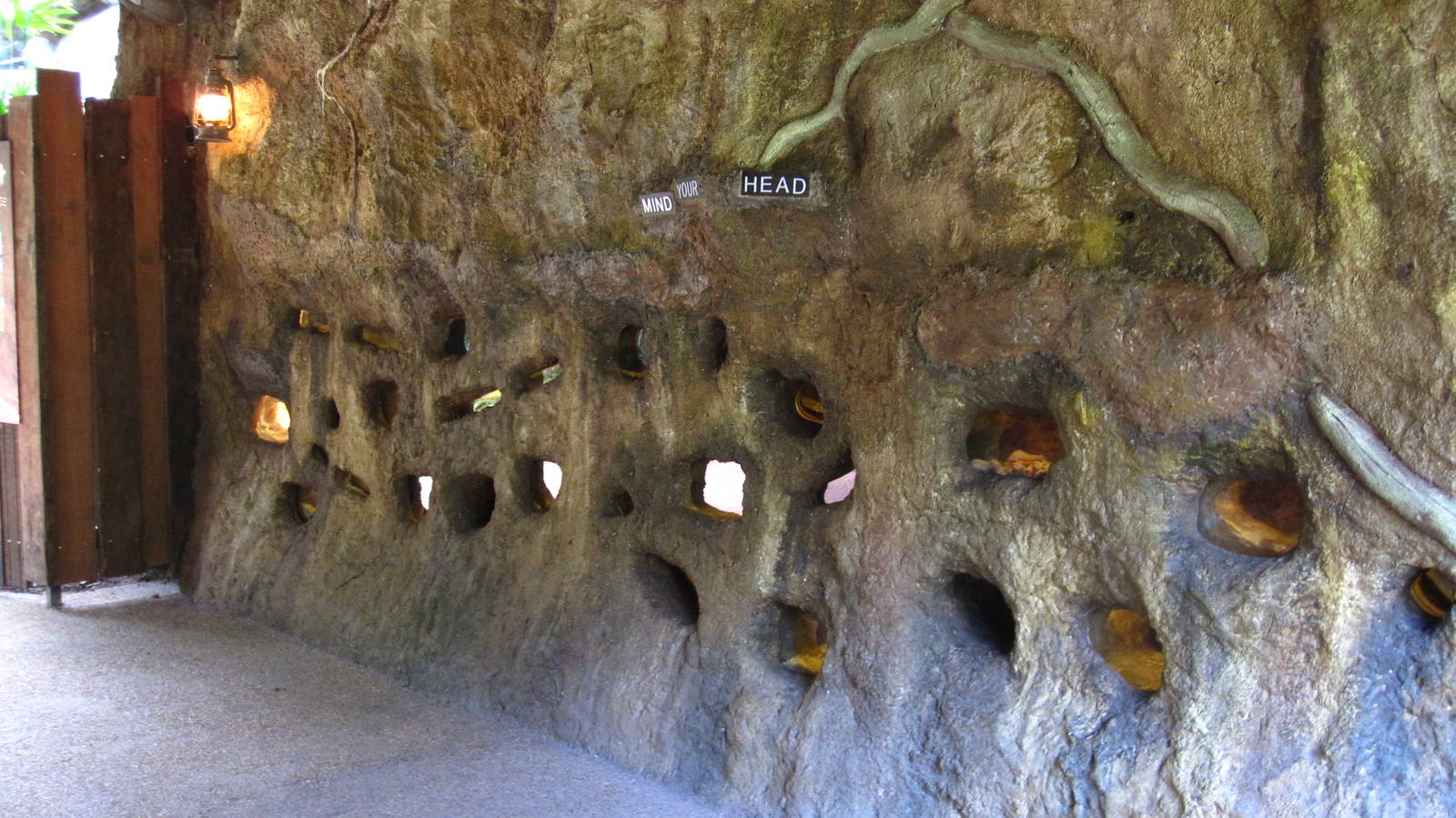 Naked Mole-rat exhibit