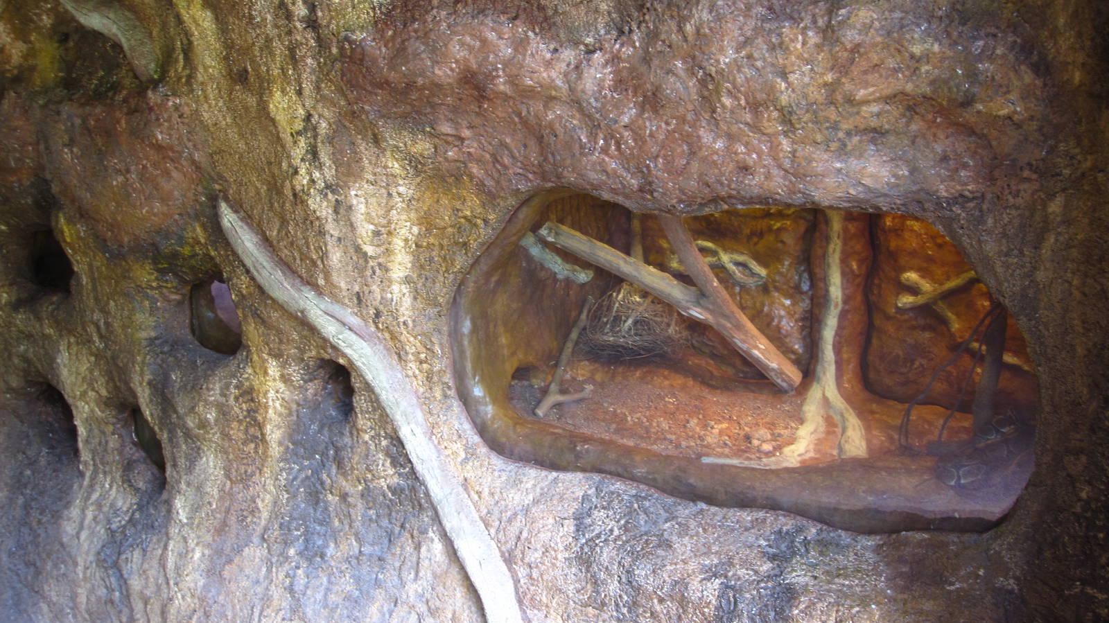 Naked Mole-rat exhibit