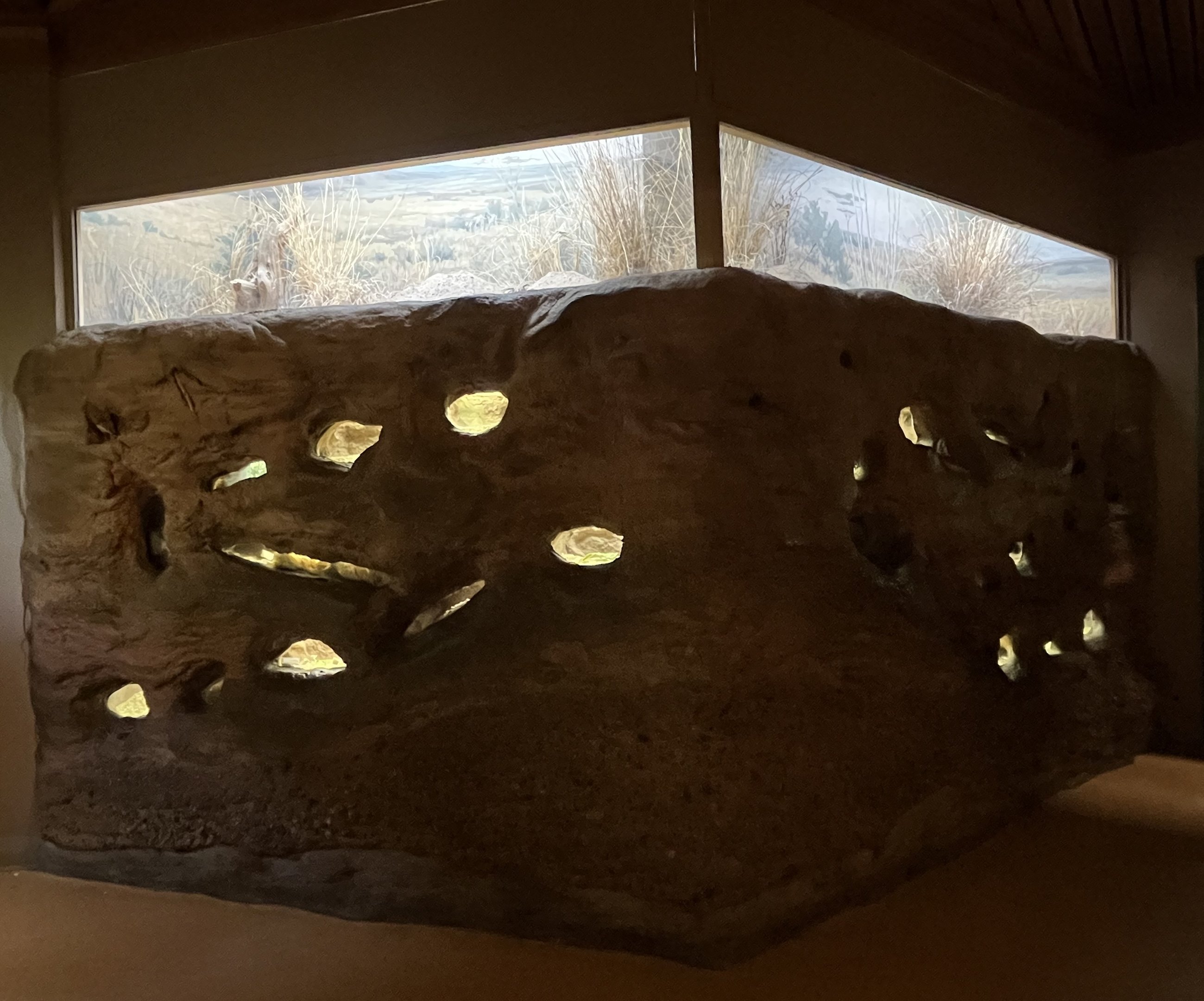 Naked Mole Rat Exhibit