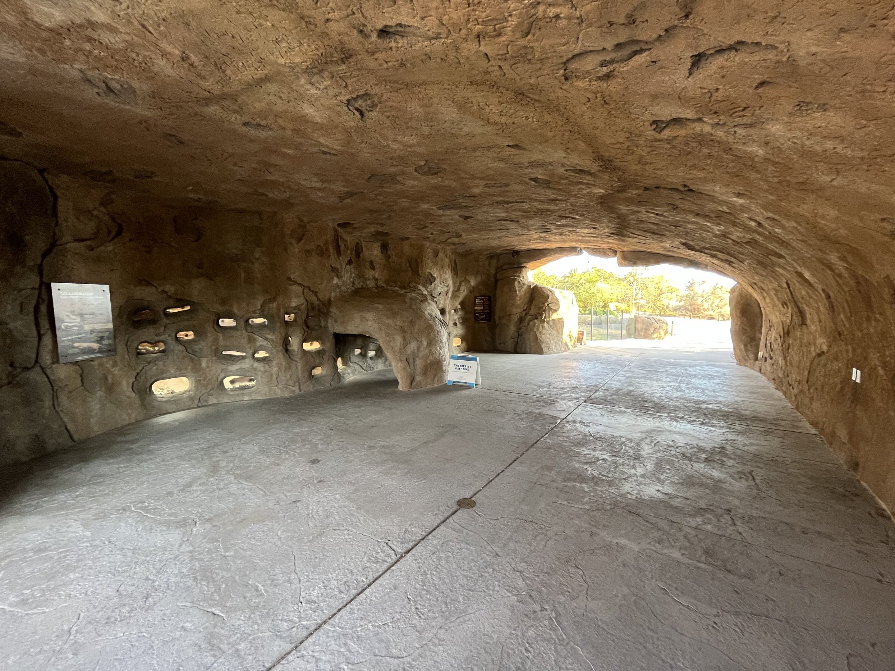 Naked Mole Rat Exhibit