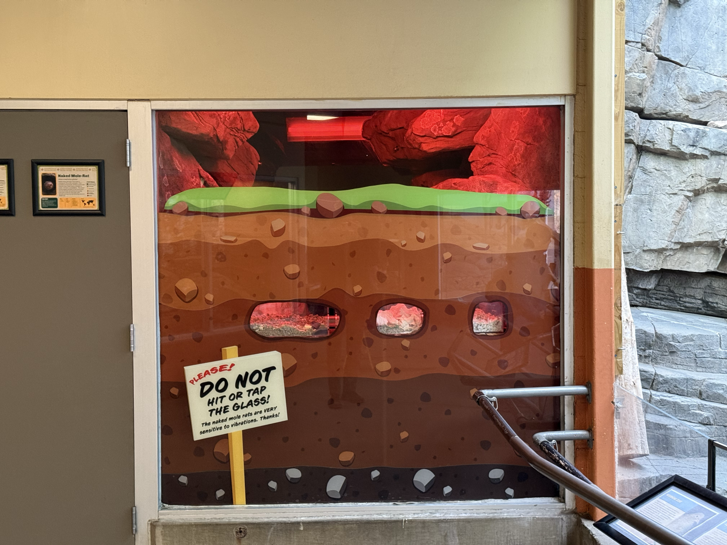 Naked Mole Rat Habitat - Desert Zone - Small Animal Building