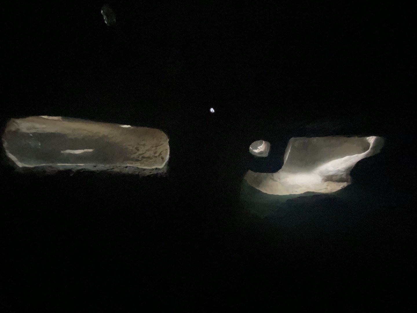 Naked mole rat tunnels 1