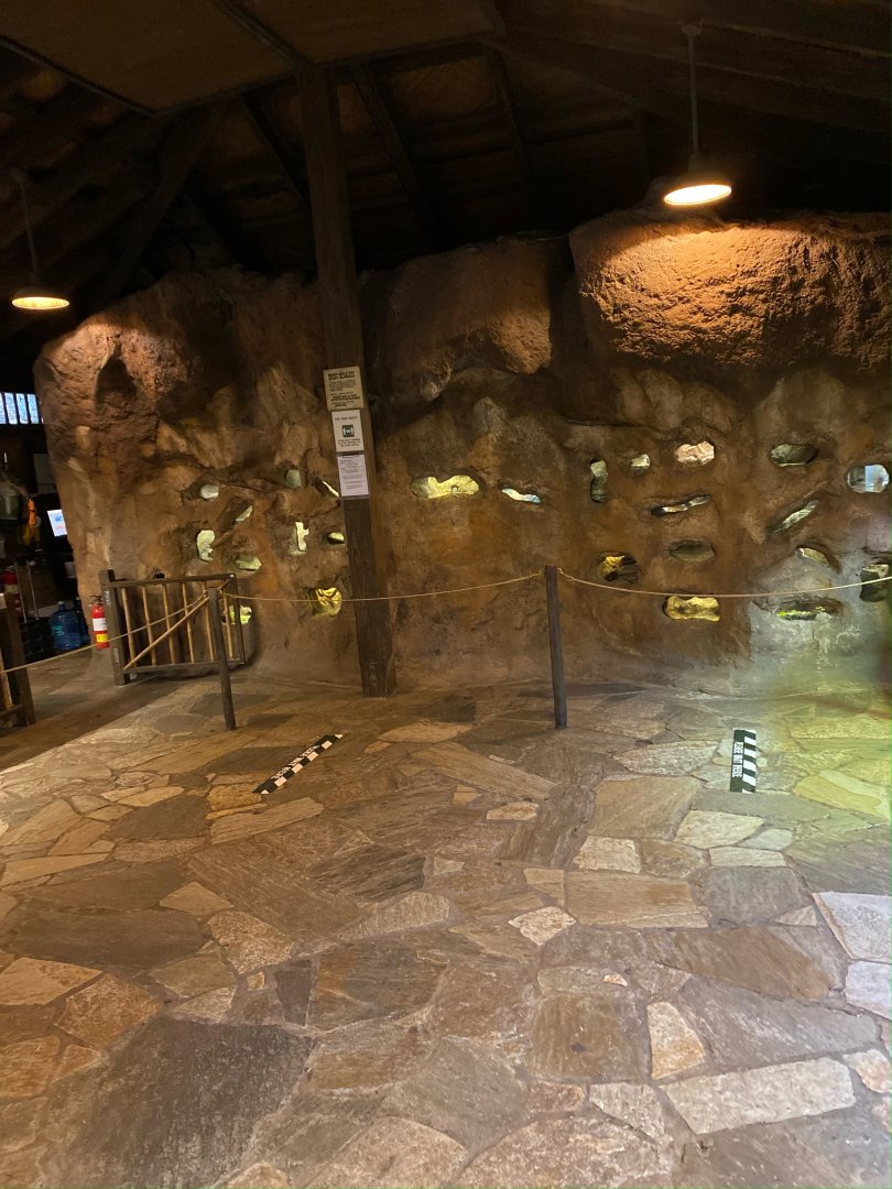 Naked Mole Rat Tunnels