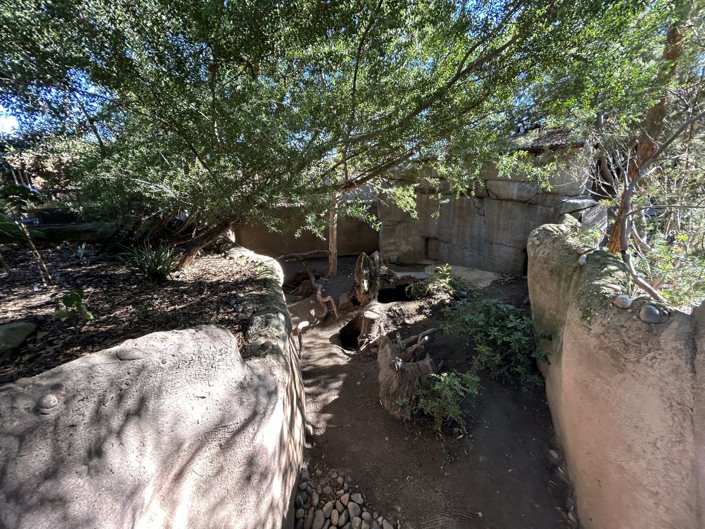 Naked-nosed Wombat Exhibit - Australian Outback