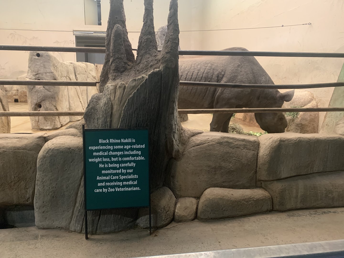 Nakili and sign about him