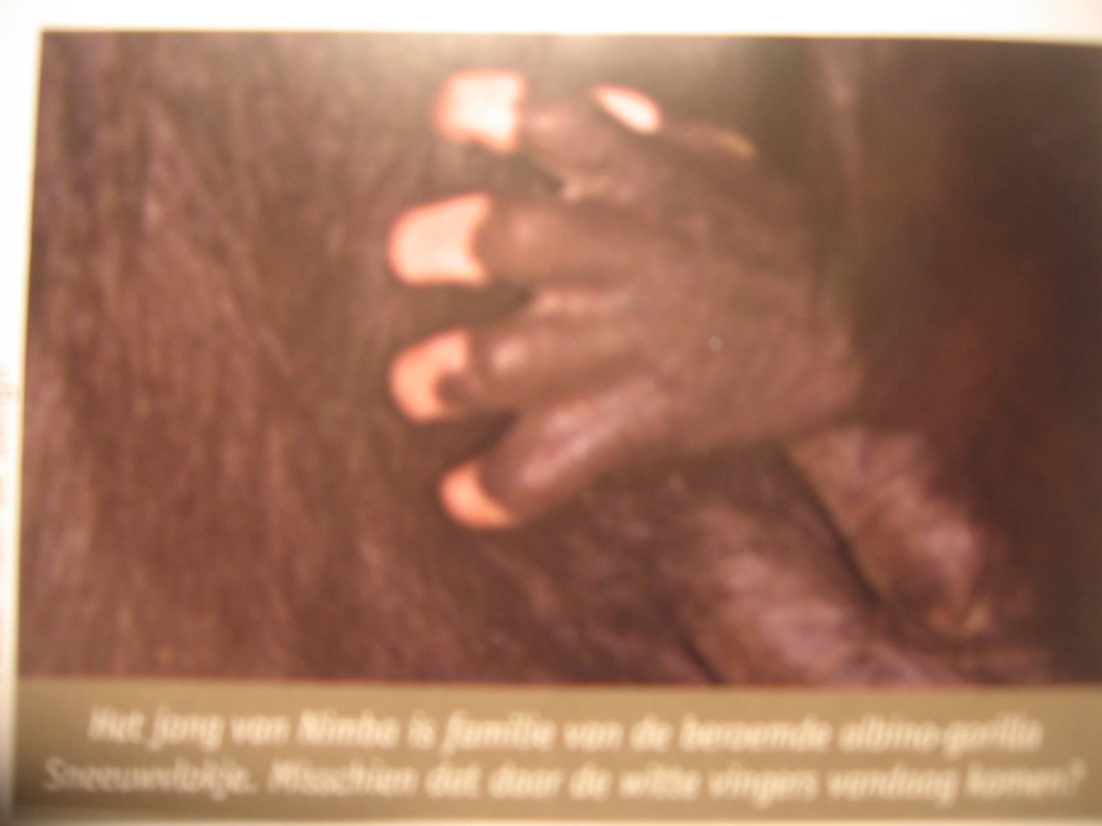 Nakou - White fingers