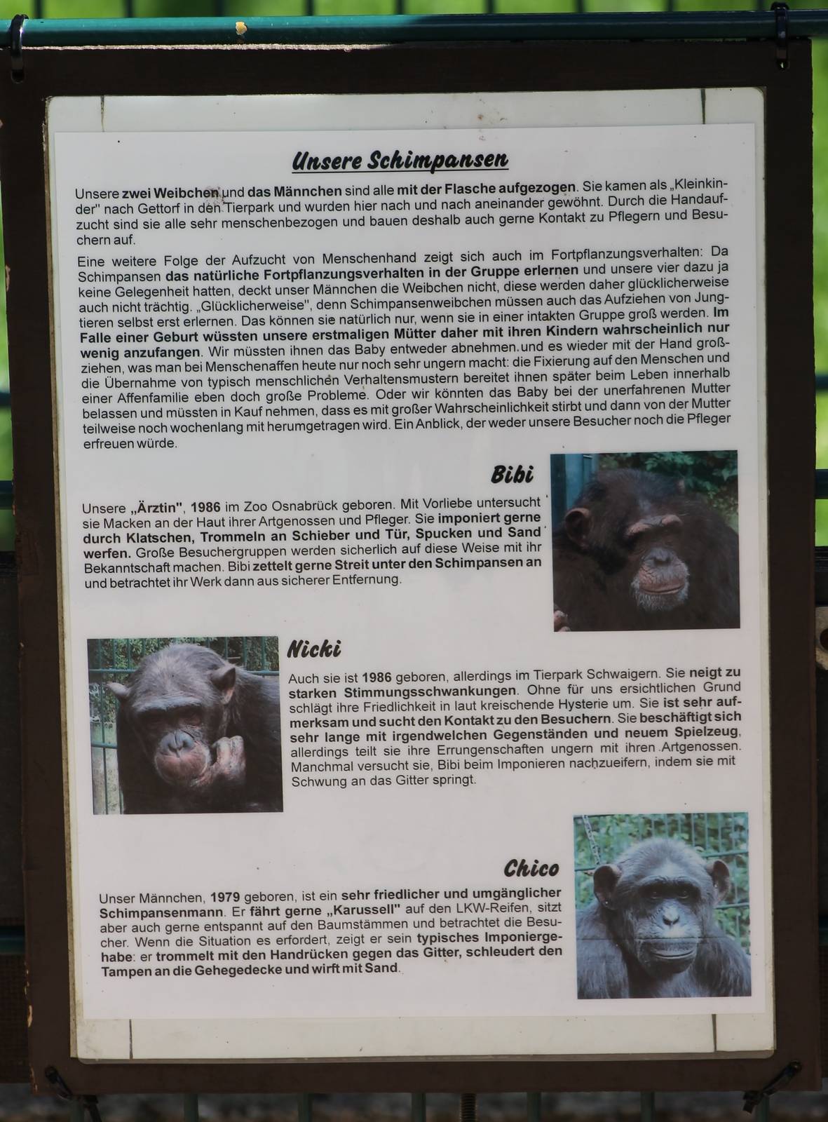 Name-signs of the Chimps