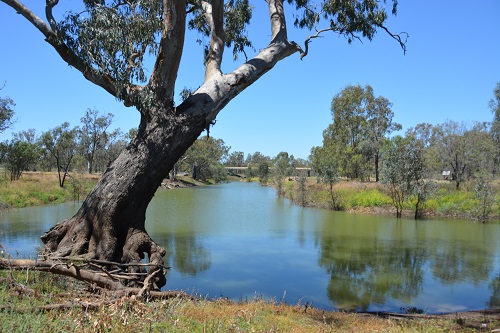 Namoi river.