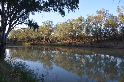 Namoi river.