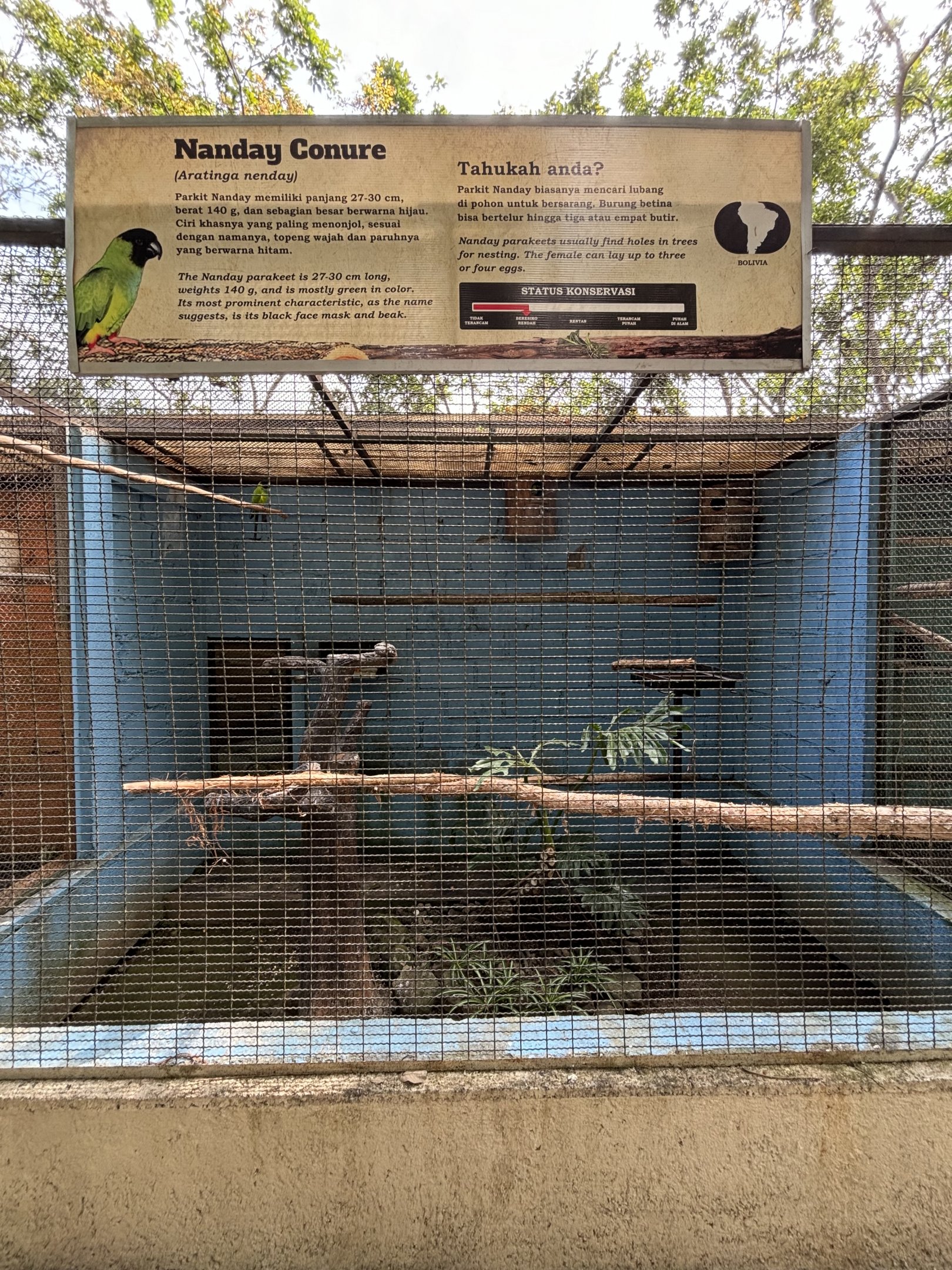 Nanday Conure Aviary