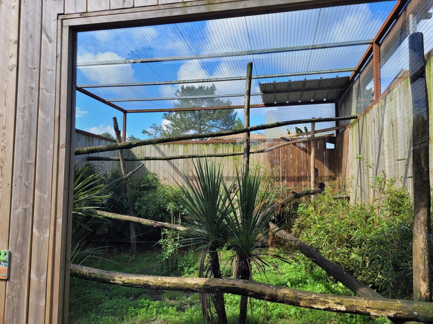 Nanday parakeet, Coppery titi, Red-bellied tamarin and Bearded emperor tamarin exhibit -Zoo du bassin d'Arcachon (2024)