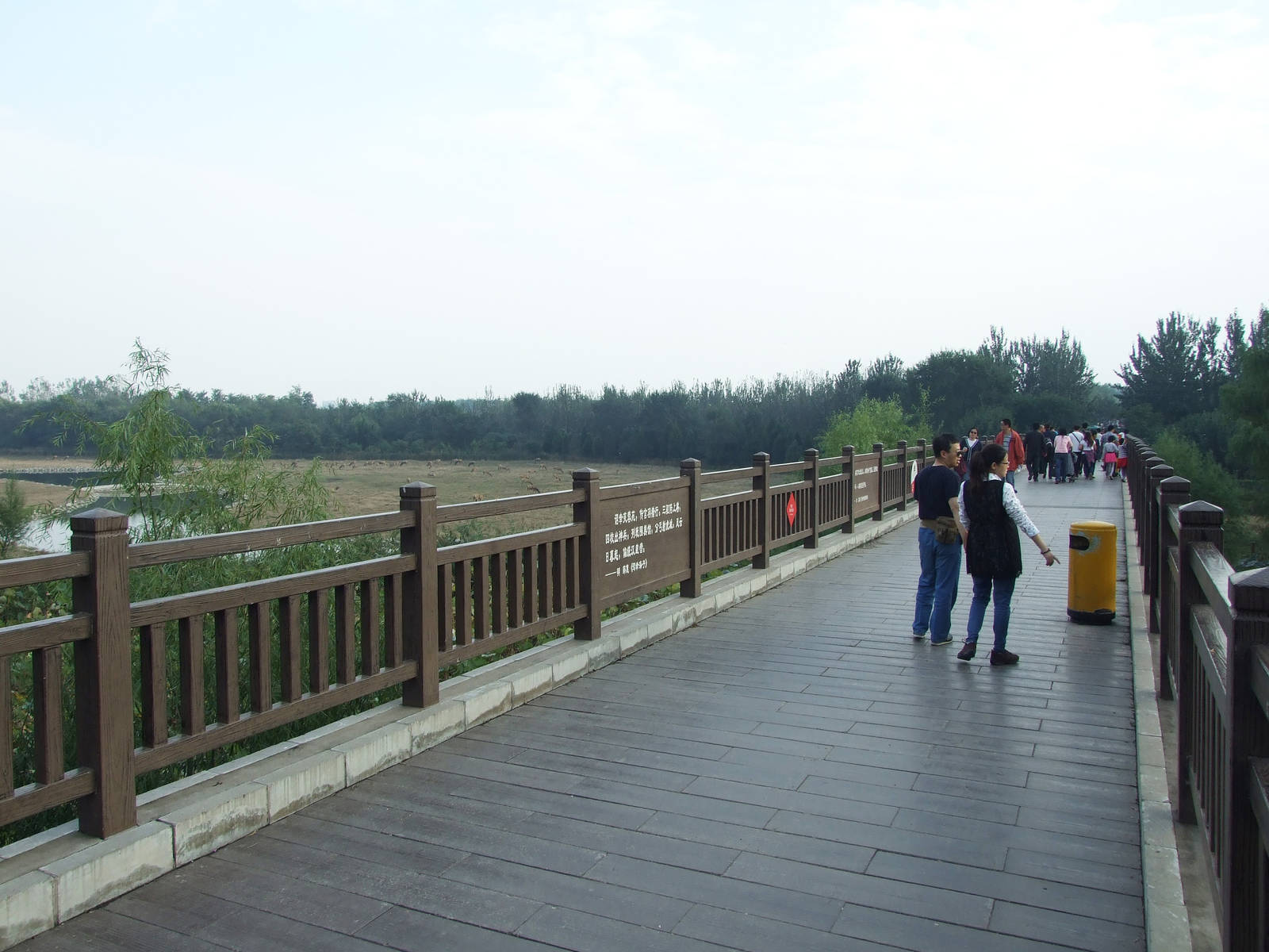 Nanhaizi Milu Park
