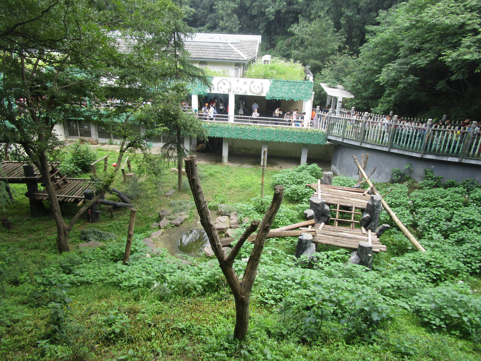 Nanjing Zoo - Giant Panda Enclosure