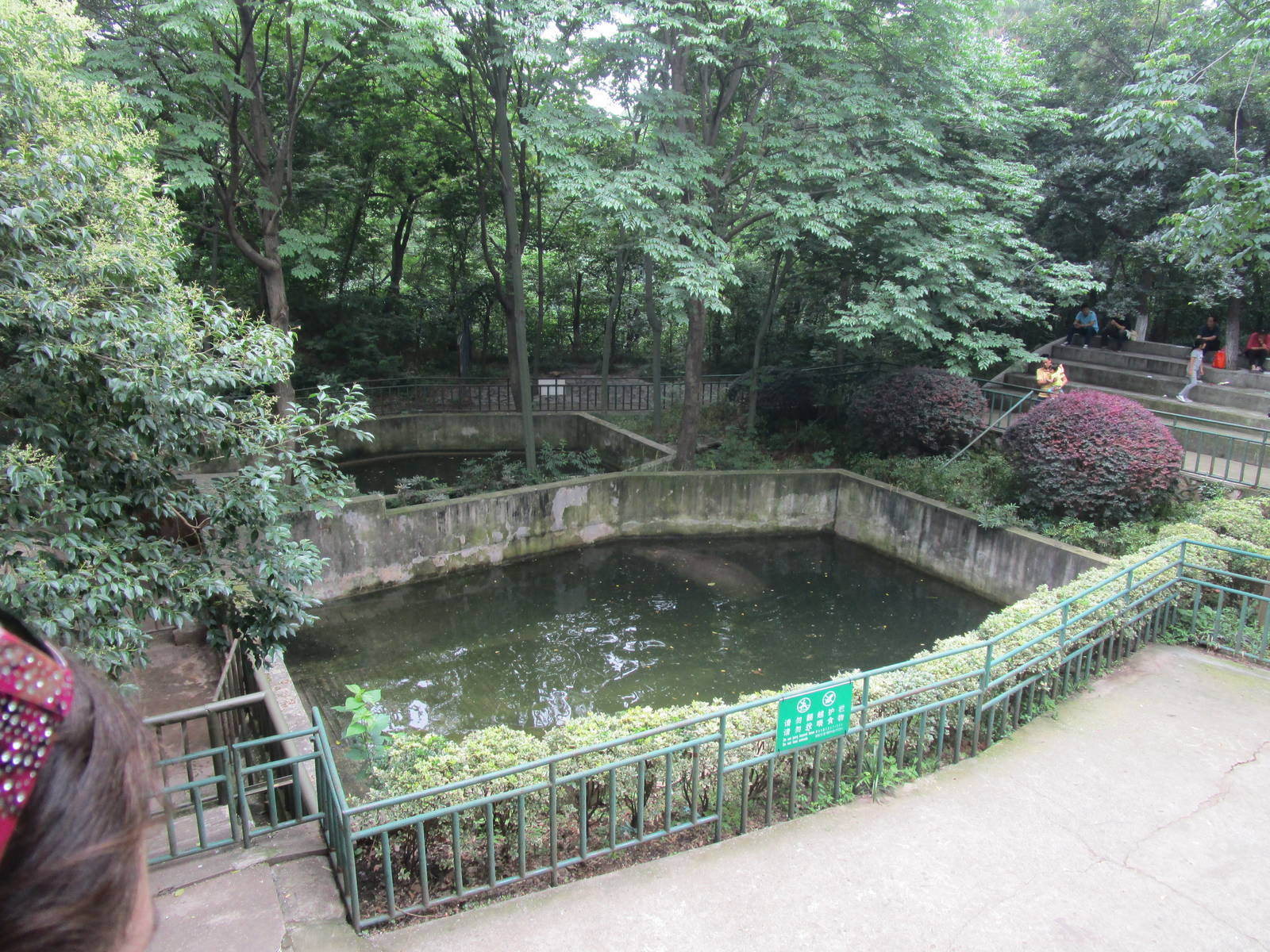 Nanjing Zoo - Hippo Pool