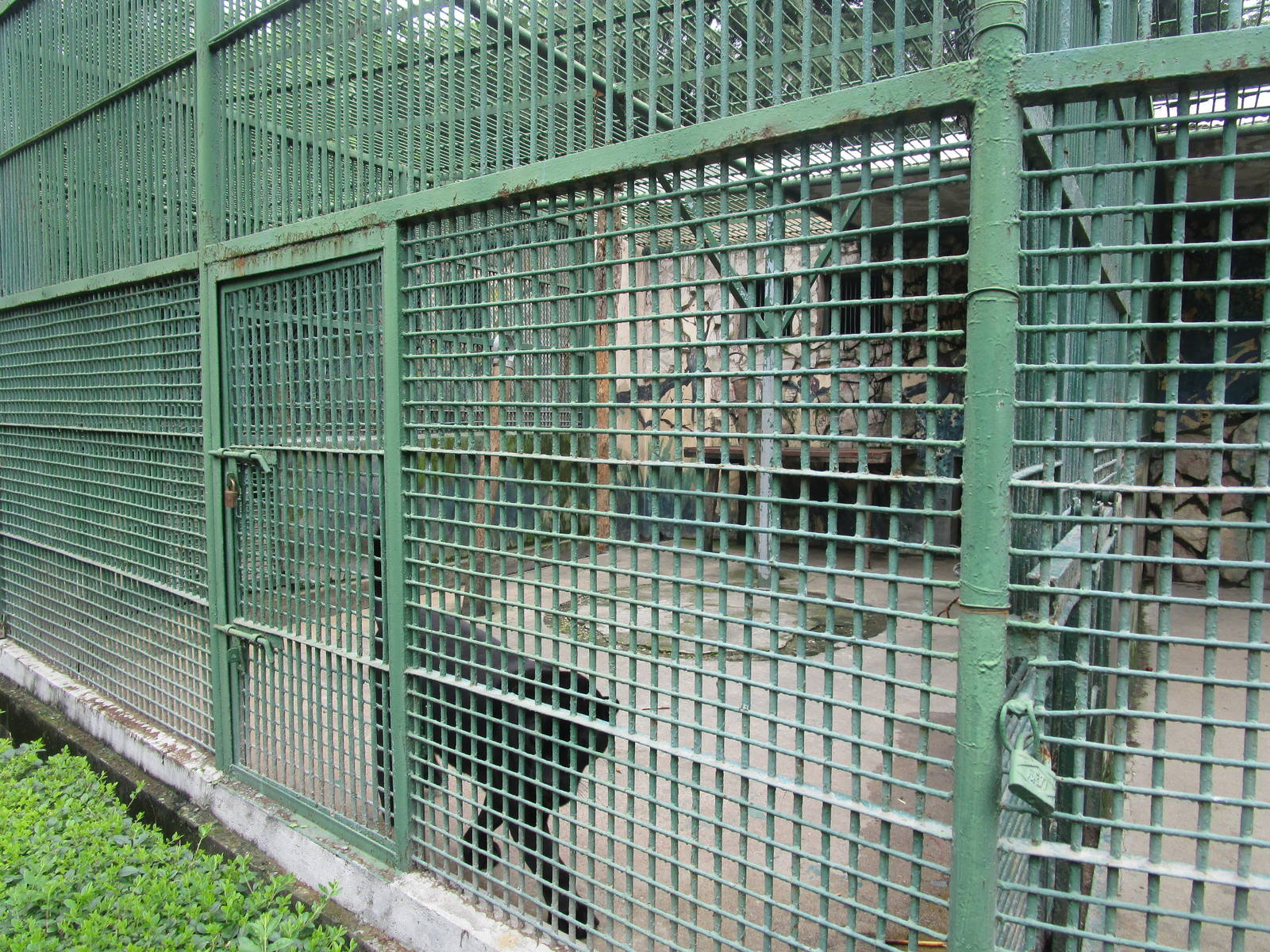 Nanjing Zoo -  Leopard/Jaguar Cage
