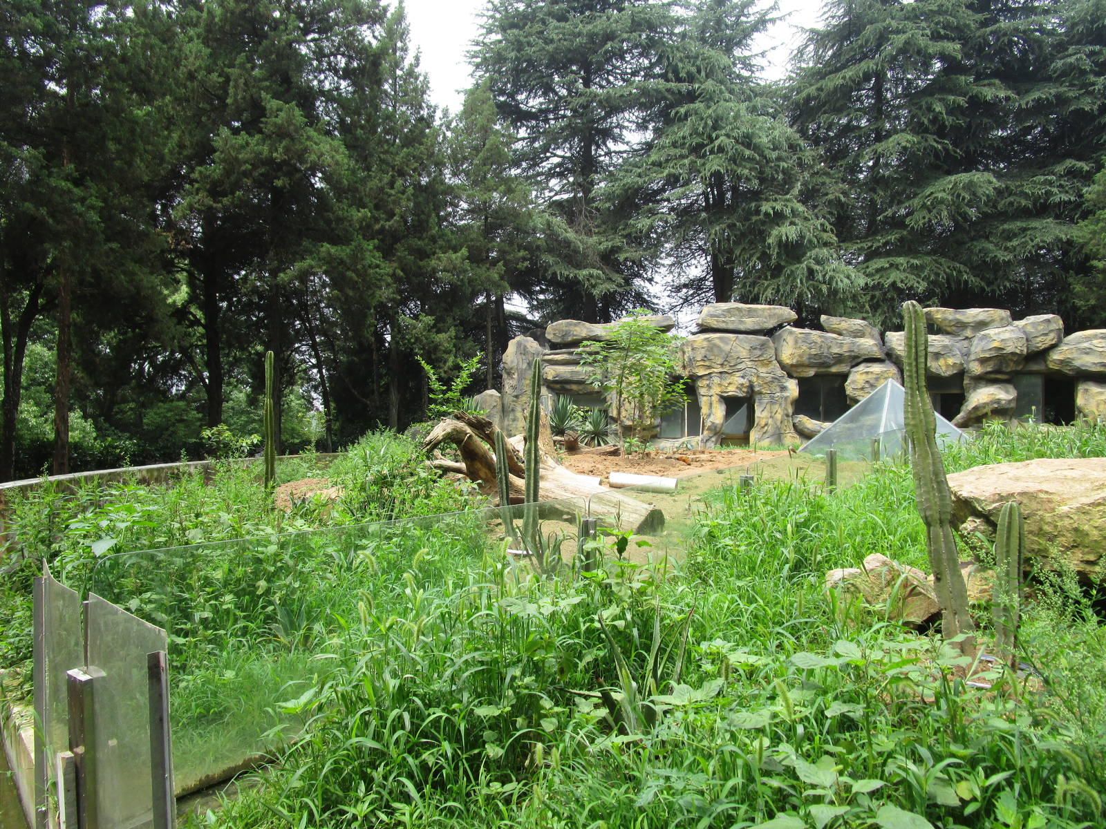 Nanjing Zoo - Meerkat Enclosure