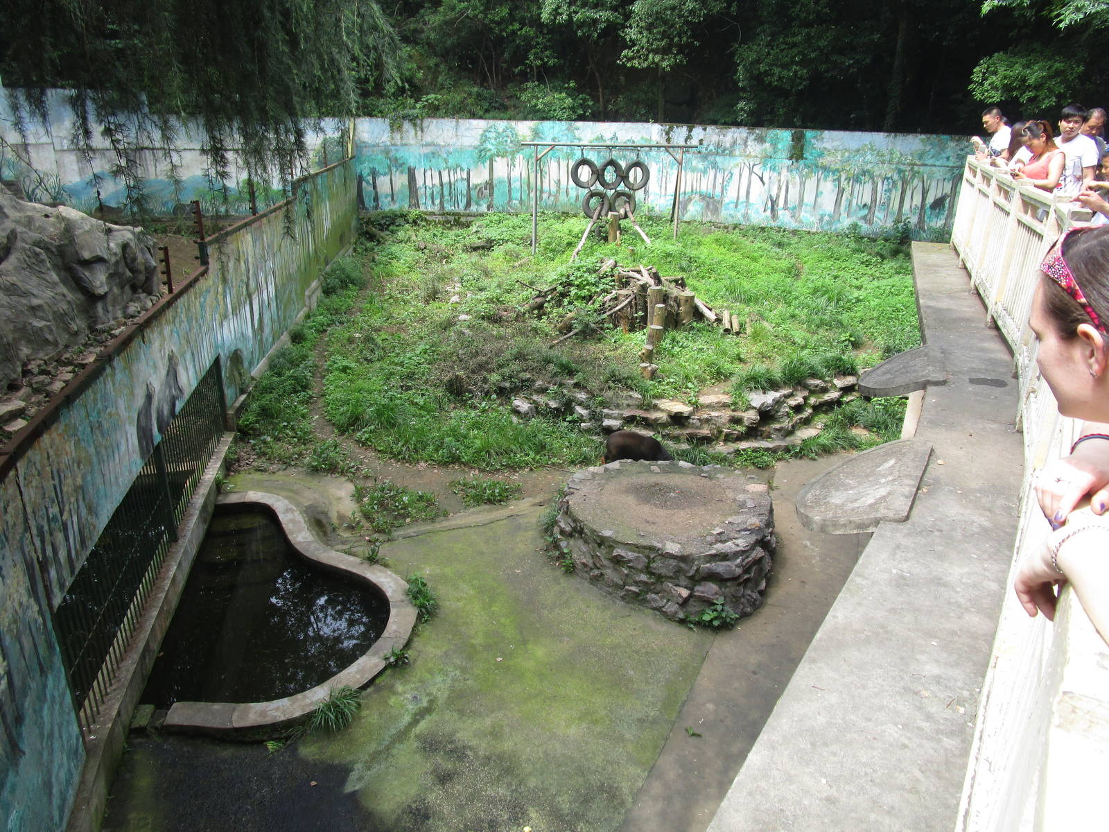 Nanjing Zoo - Sun Bear Enclosure