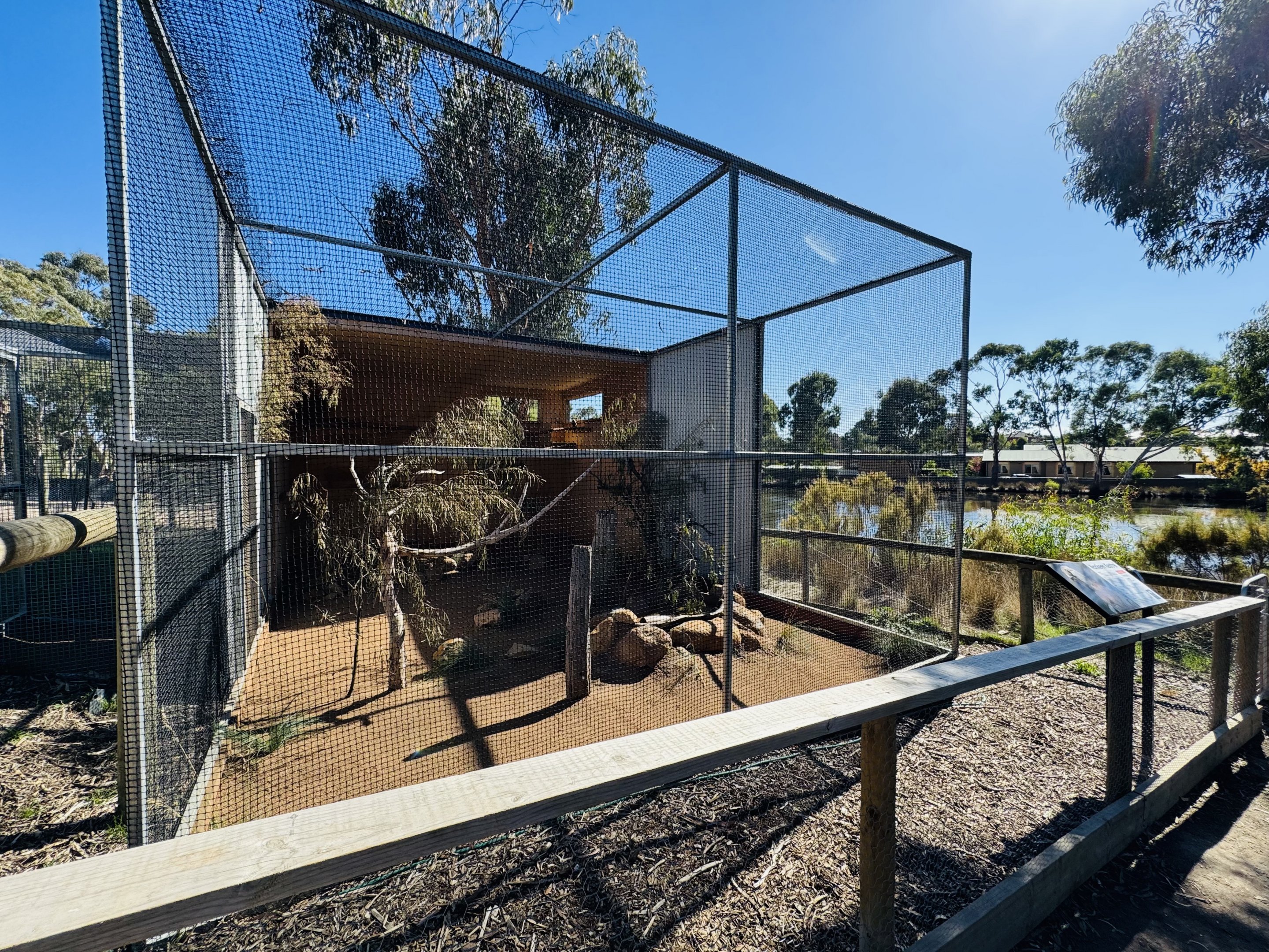 Nankeen kestrel enclosure