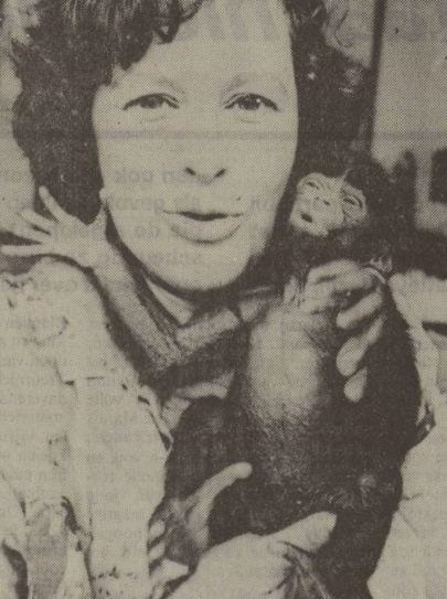 Naomi, the first Bonobo born in the Netherlands