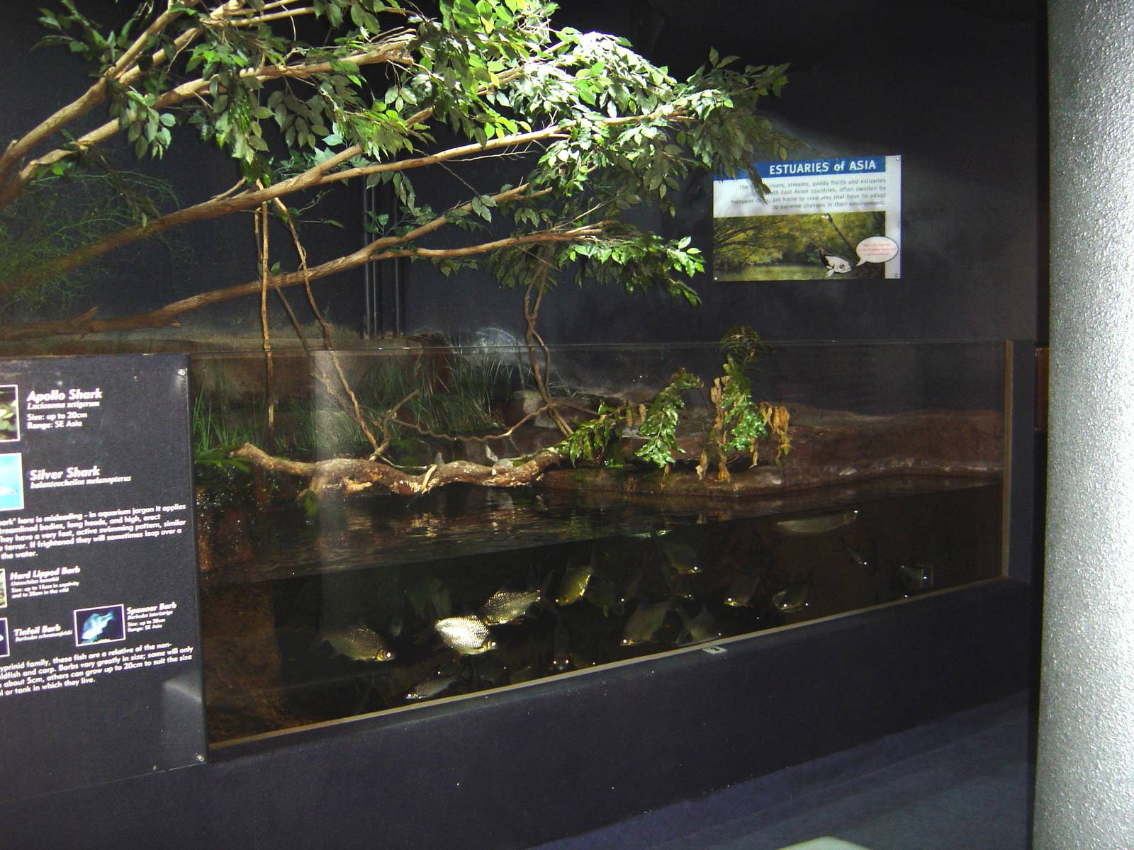 Napier Aquarium