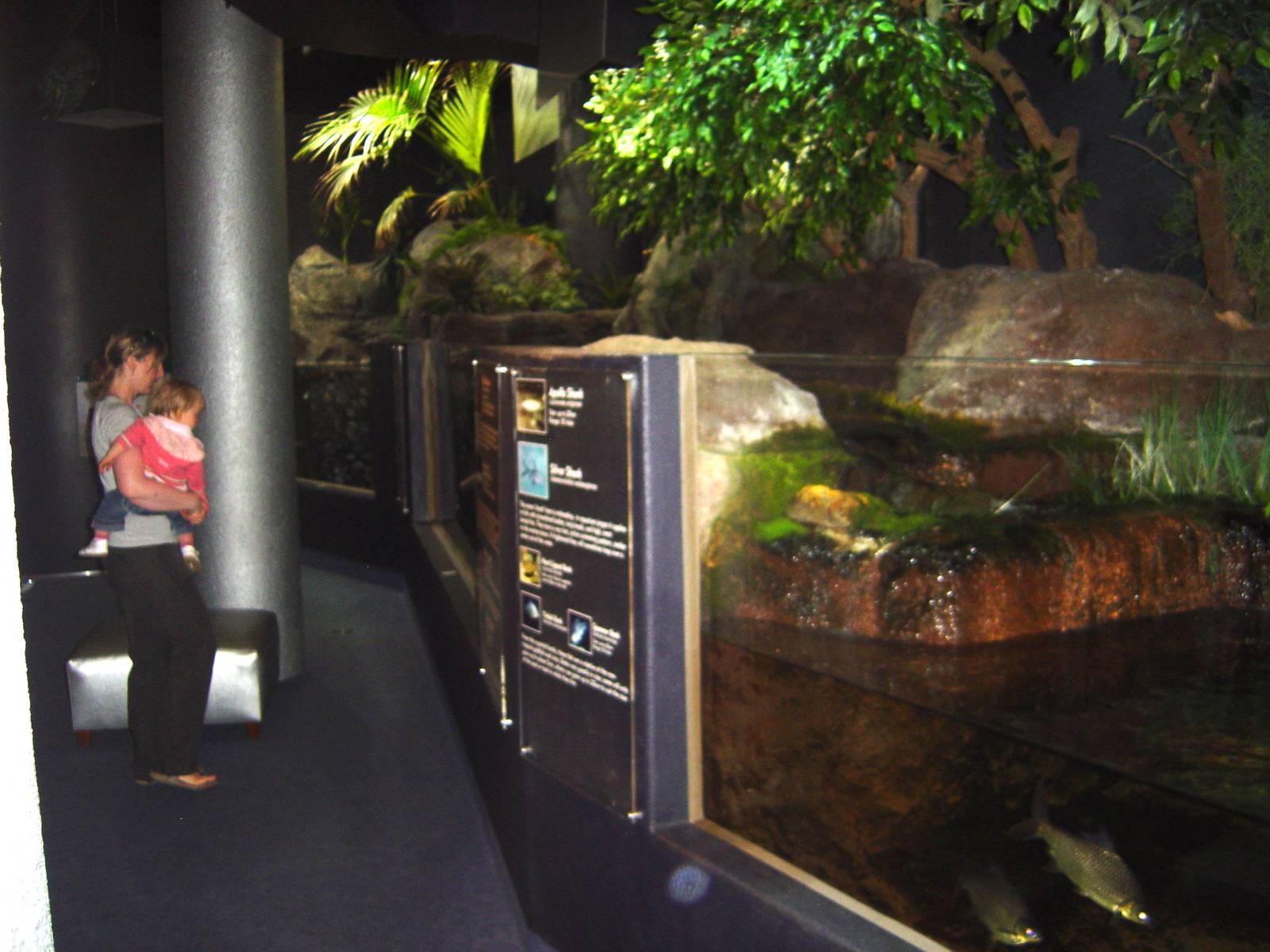 Napier Aquarium