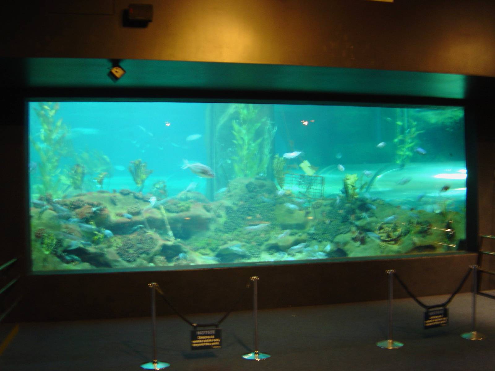 Napier Aquarium