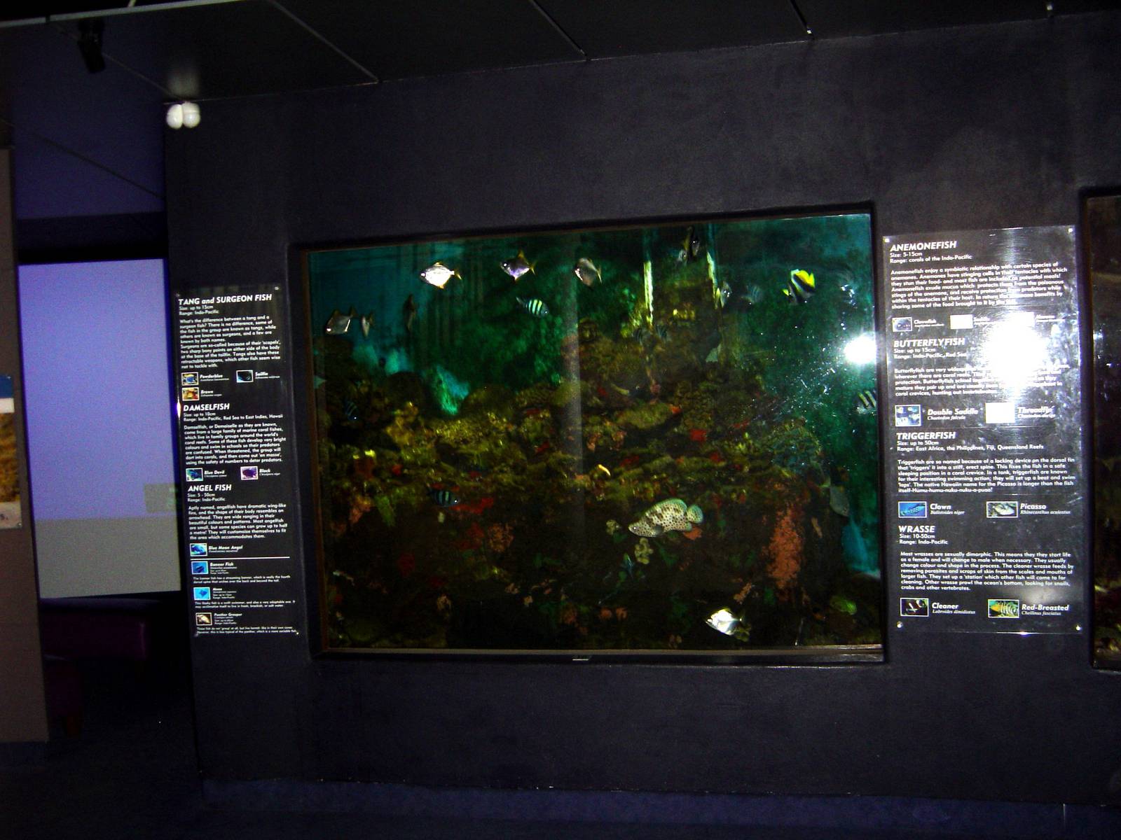 Napier Aquarium